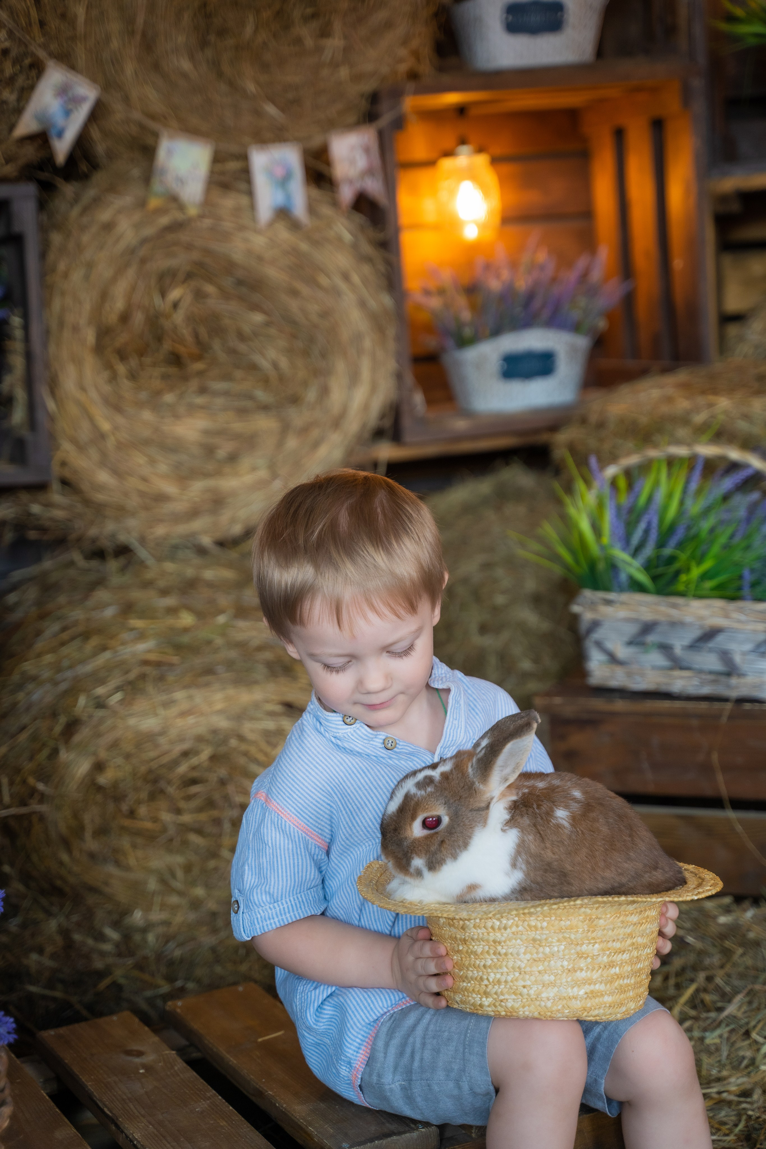 Фотосессия с кроликом в студии