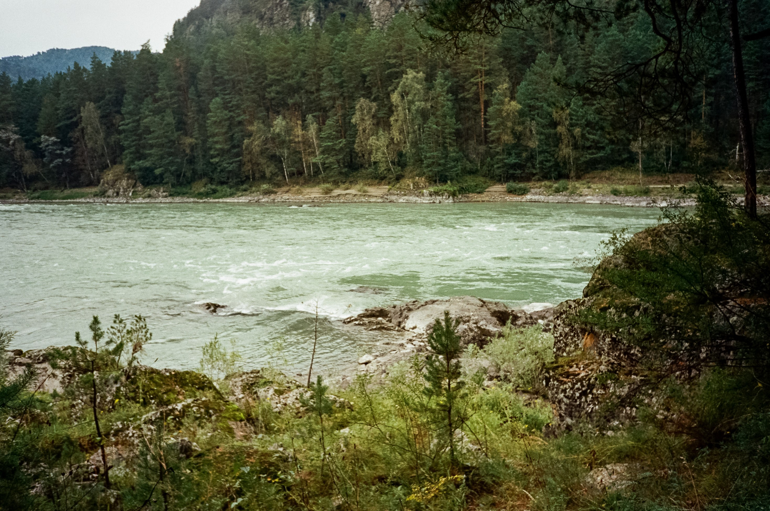 Тихий берег и Скала. Панорамы Катуни. Фотограф-документалист Мария Осокина