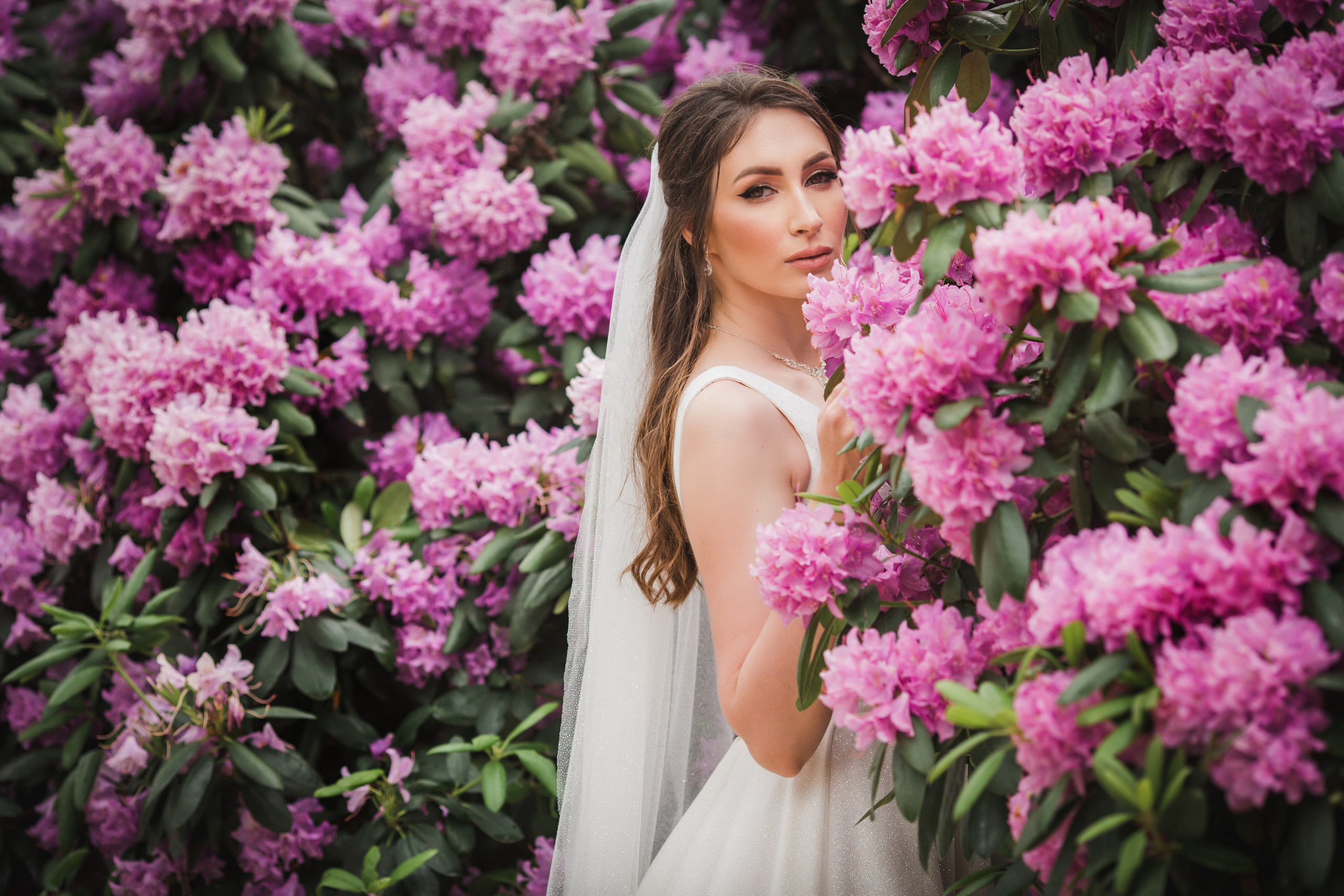 Даниил и Наталия. Свадебный и семейный фотограф в Краснодаре