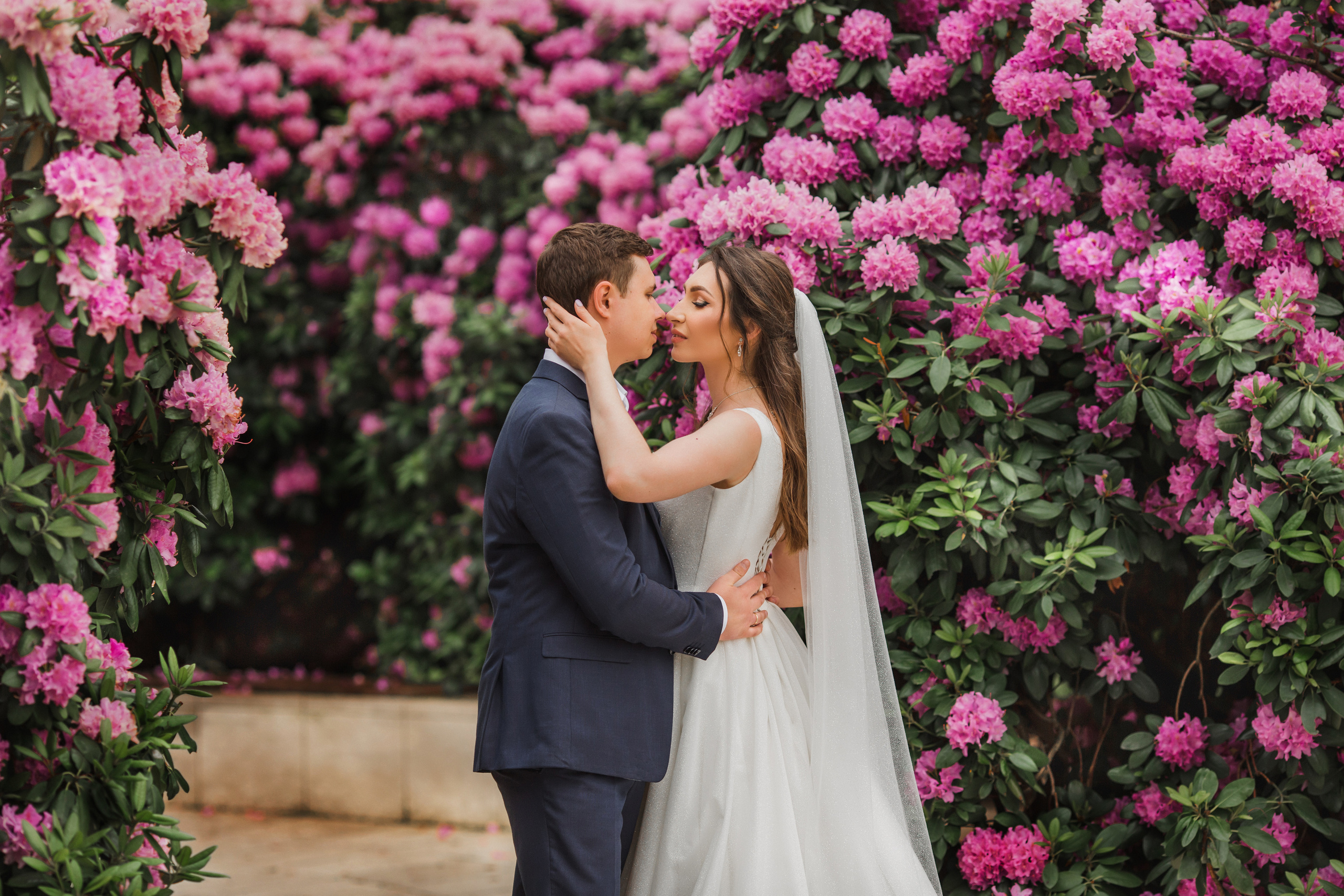Даниил и Наталия. Свадебный и семейный фотограф в Краснодаре
