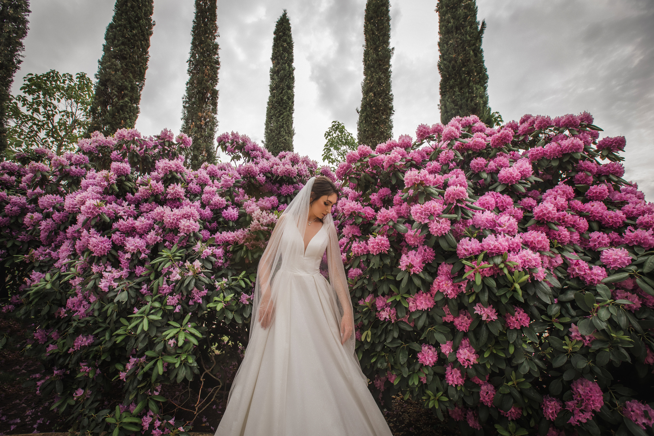 Даниил и Наталия. Свадебный и семейный фотограф в Краснодаре