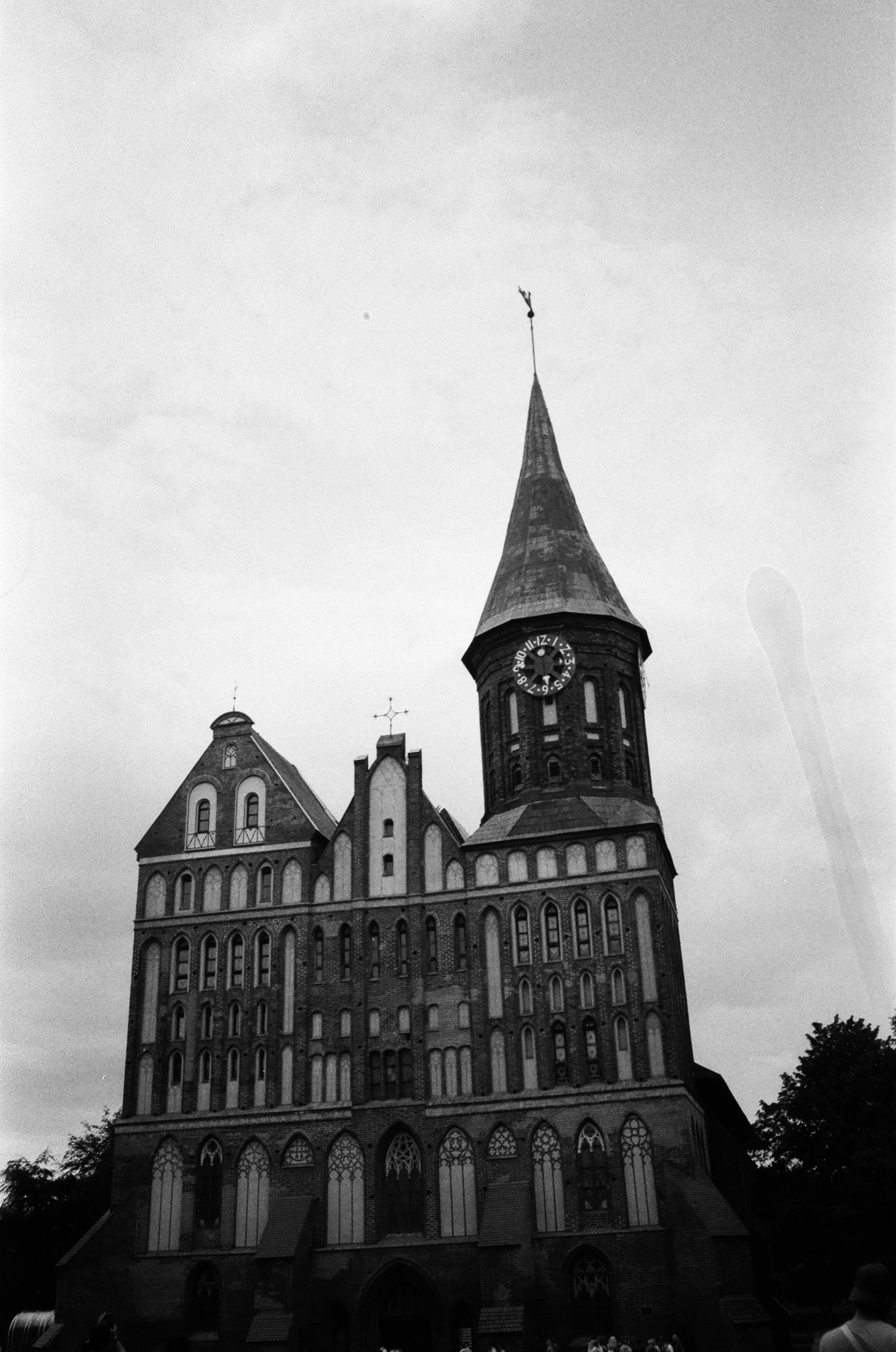 Калининград. Фотограф Севастополь, Крым. Портретный и репортажный фотограф Коваленко Антонина