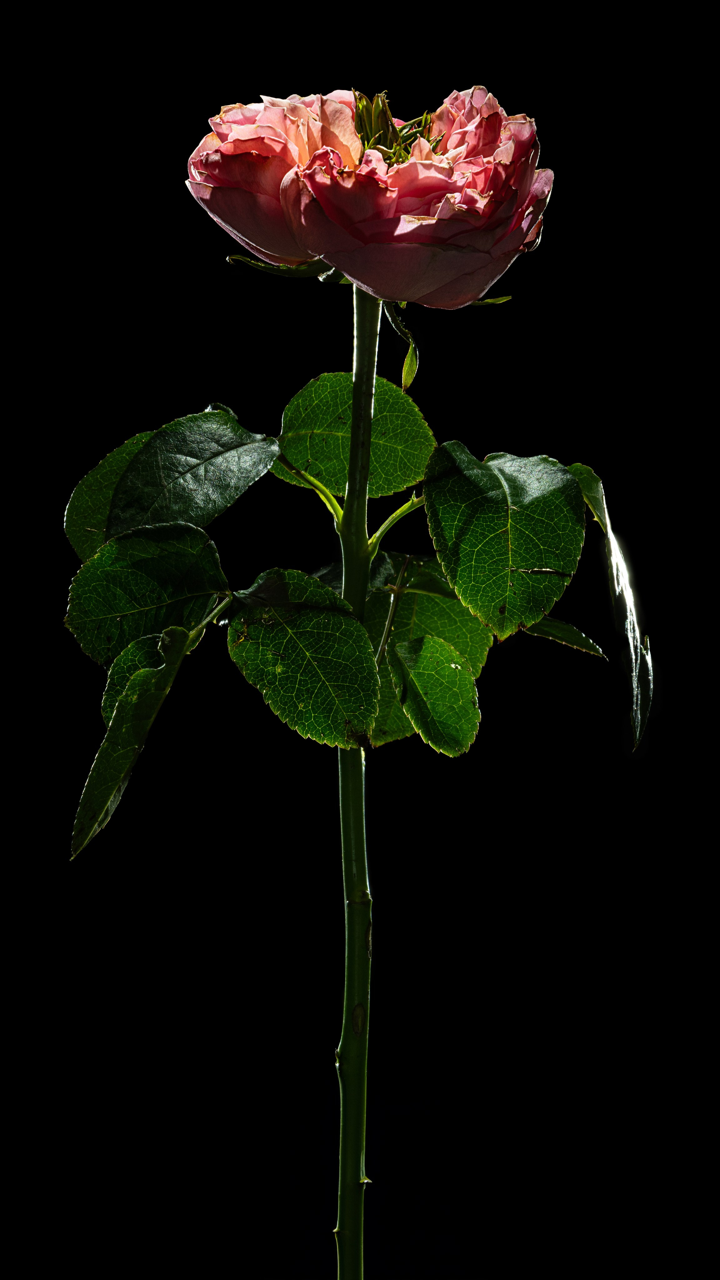 Проекты. Sakunov Photo