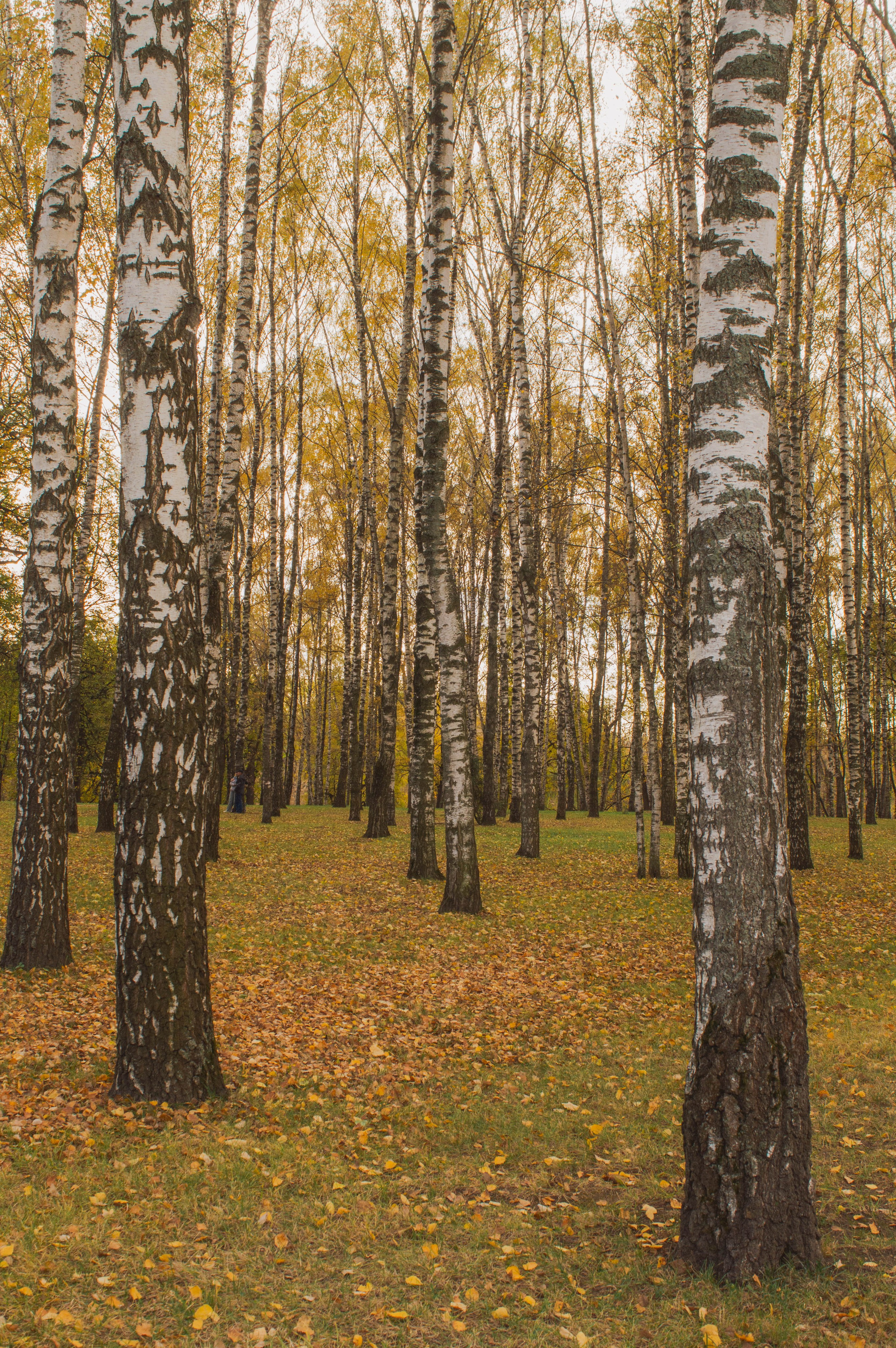 Октябрь в городе. Фотограф Анастасия Лощакова в Москве