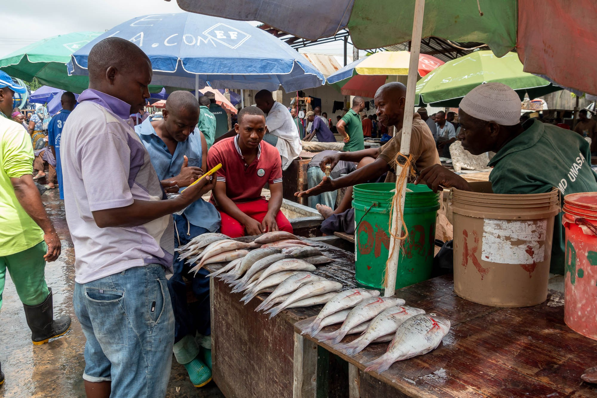 Танзания, Дар эс Салам. Tanzania, Dar es Salaam. Фотограф Алексей Скоробогатько