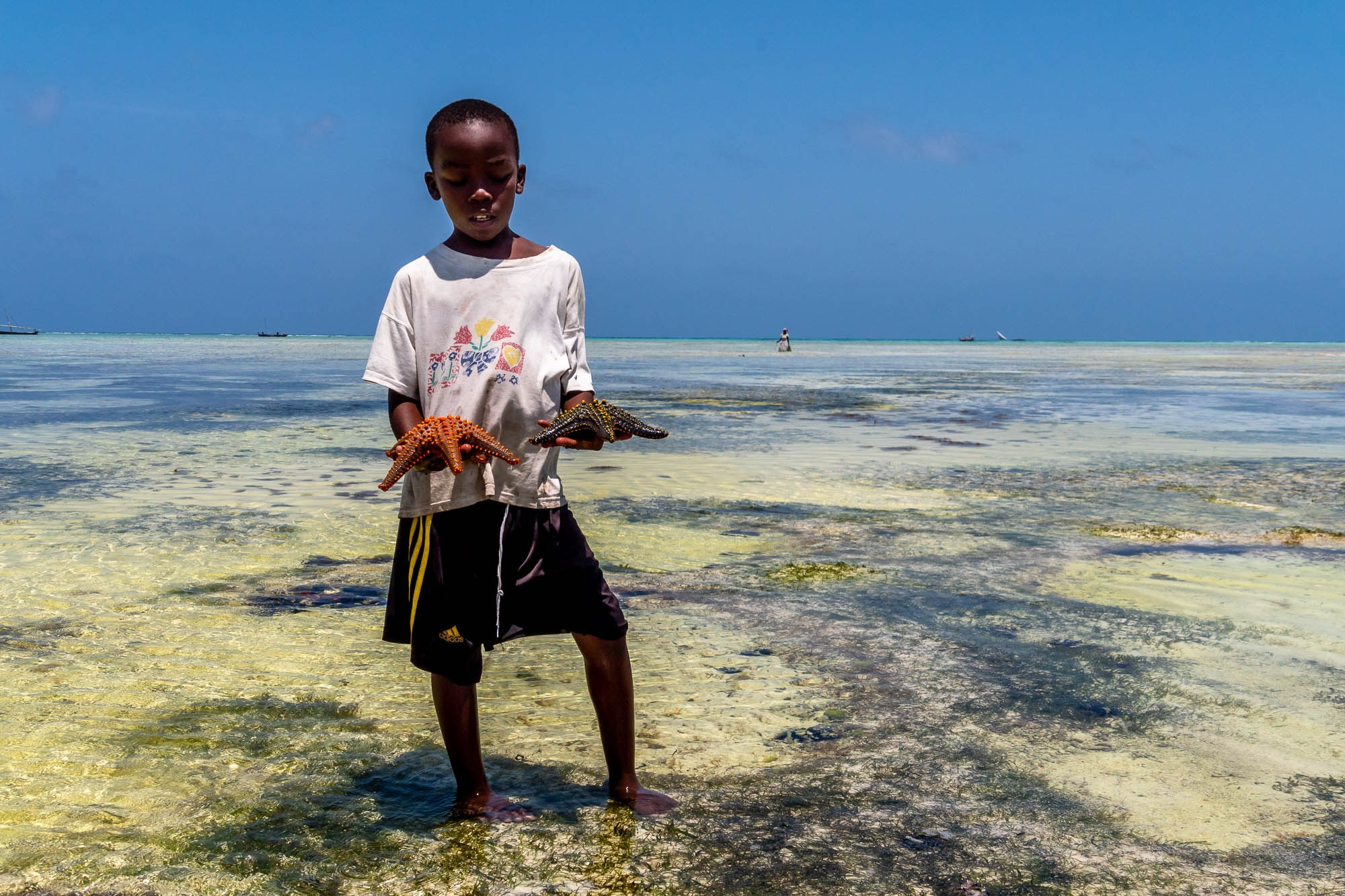 Африка, Танзания, Занзибар, Нунгви. Africa, Tanzania, Zanzibar, Nungwi. Фотограф Алексей Скоробогатько