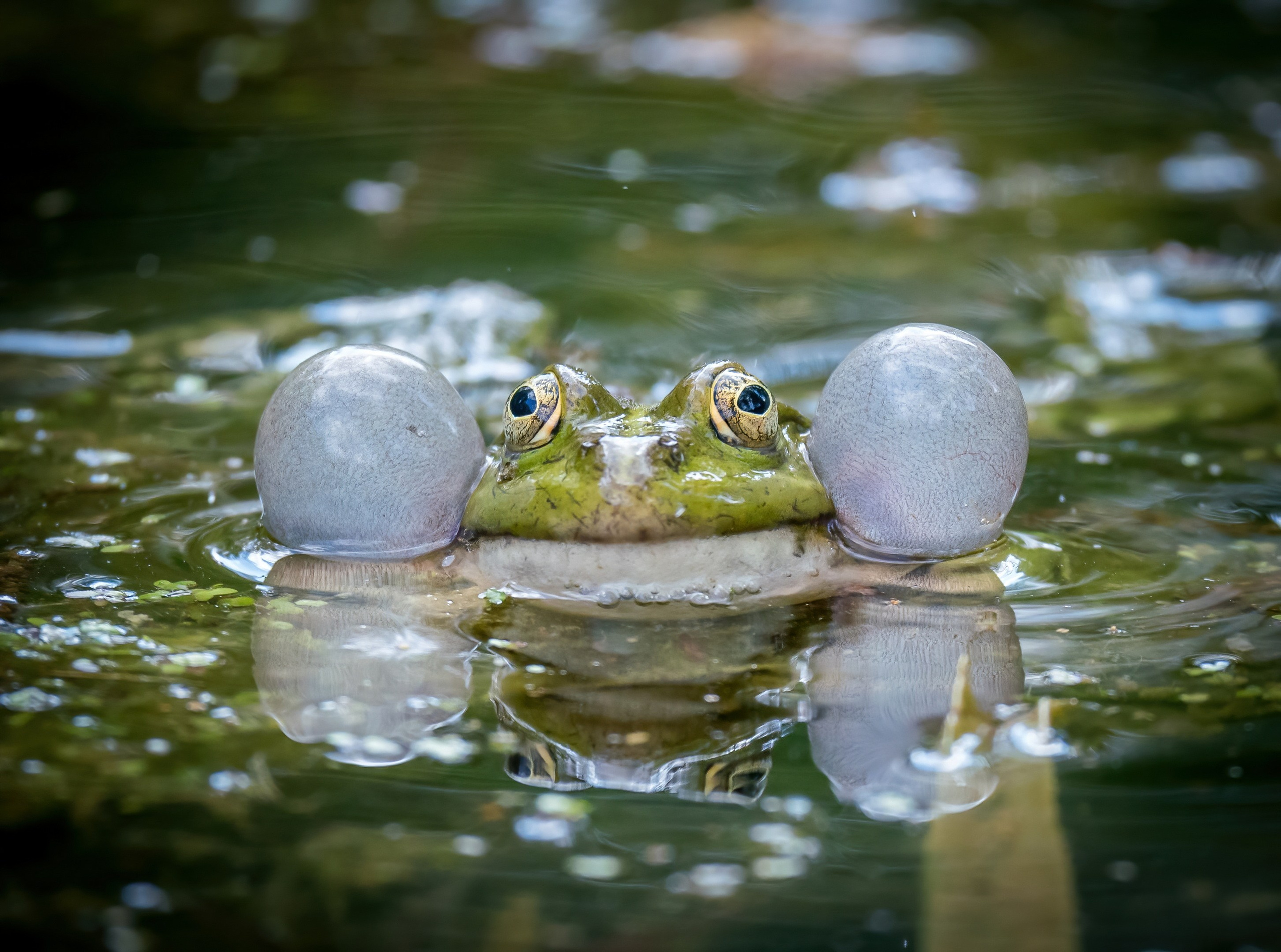 Творчество. Константин Дем | Фотограф