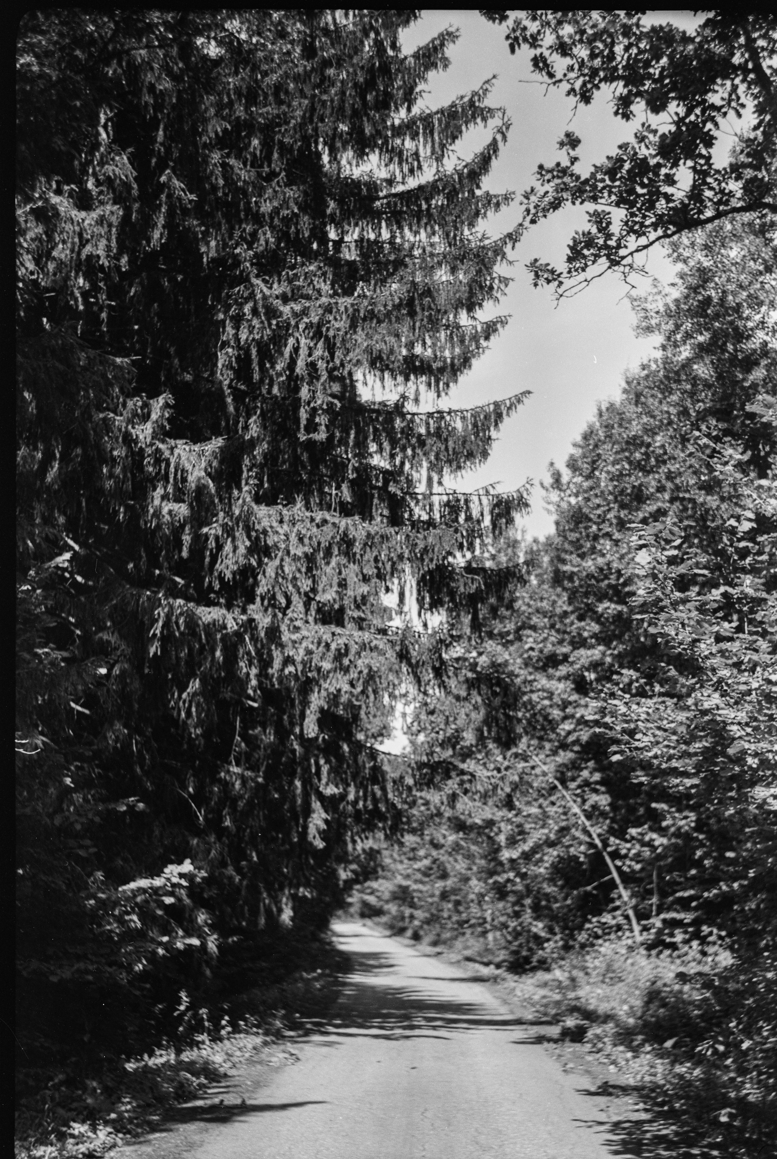 Royer — Som Berthiot Peris Flor 105 mm f4.5