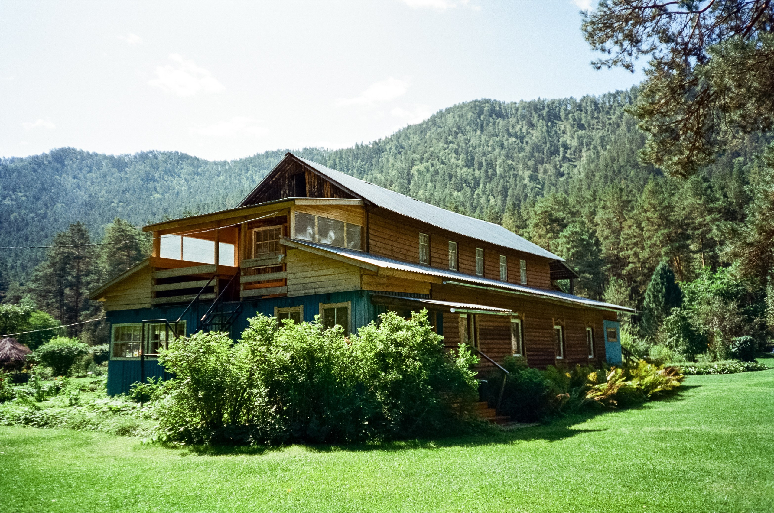 Ботанический сад в солнечный день. Фотограф-документалист Мария Осокина