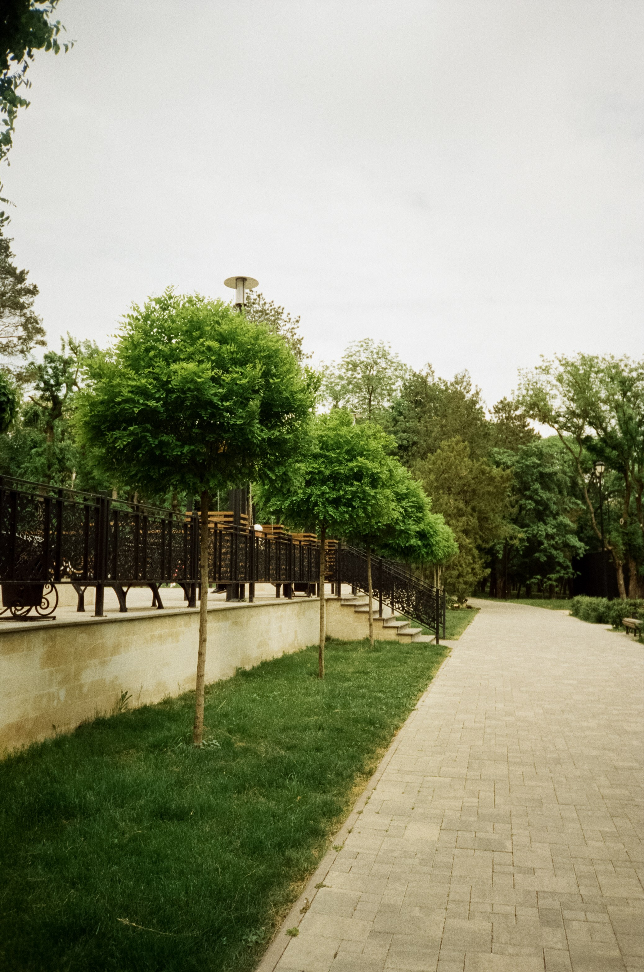 Прогулка в Курортном парке. Ессентуки. Фотограф-документалист Мария Осокина