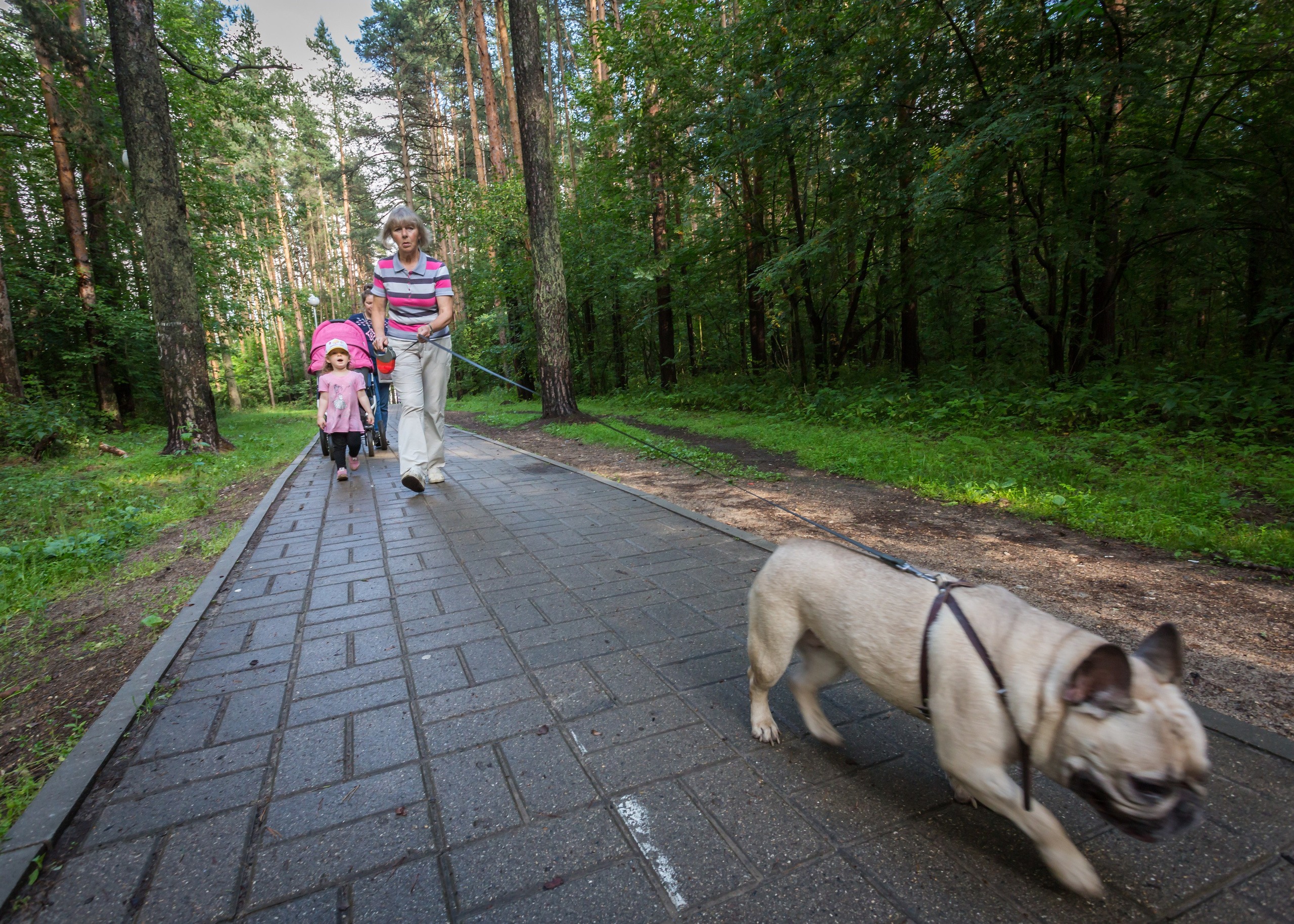 КАПИТАН МАРИНА. Контакты