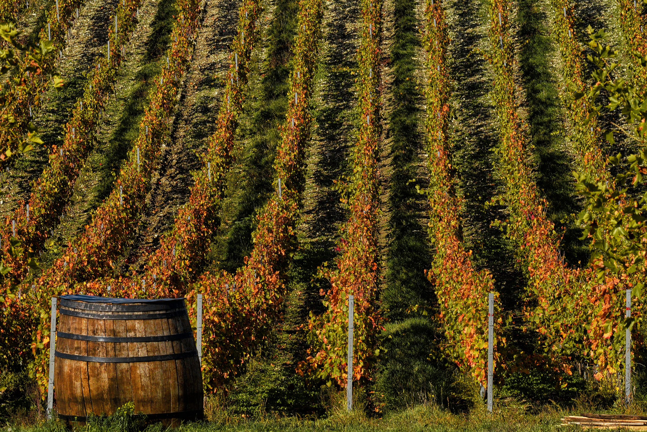 Пейзажи. Яркие фото на Чёрном море
