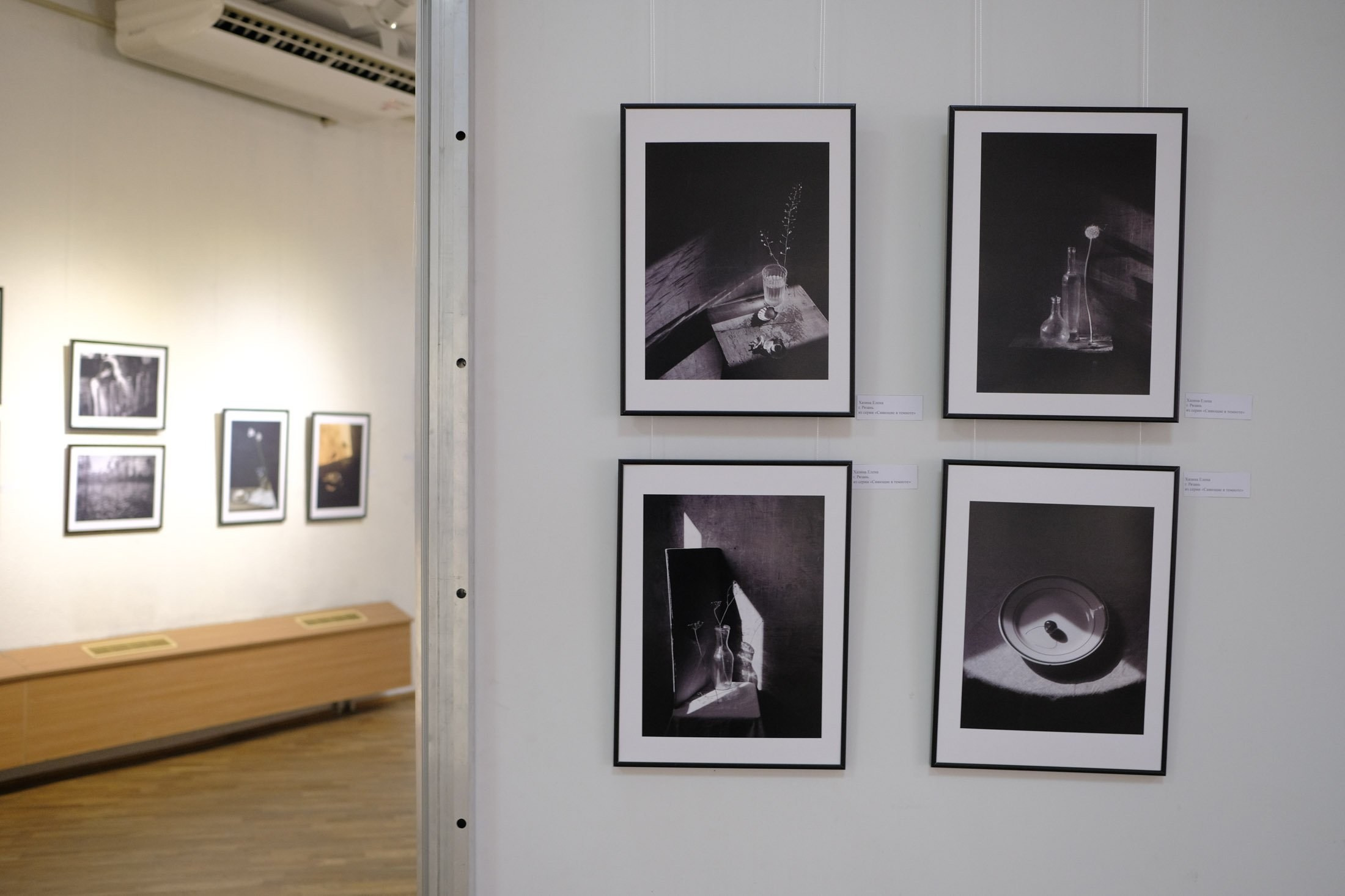 Участвую в выставке Союза фотохудожников России, Краснодар. Фотограф Наталия Шляпина в Ростове-на-Дону