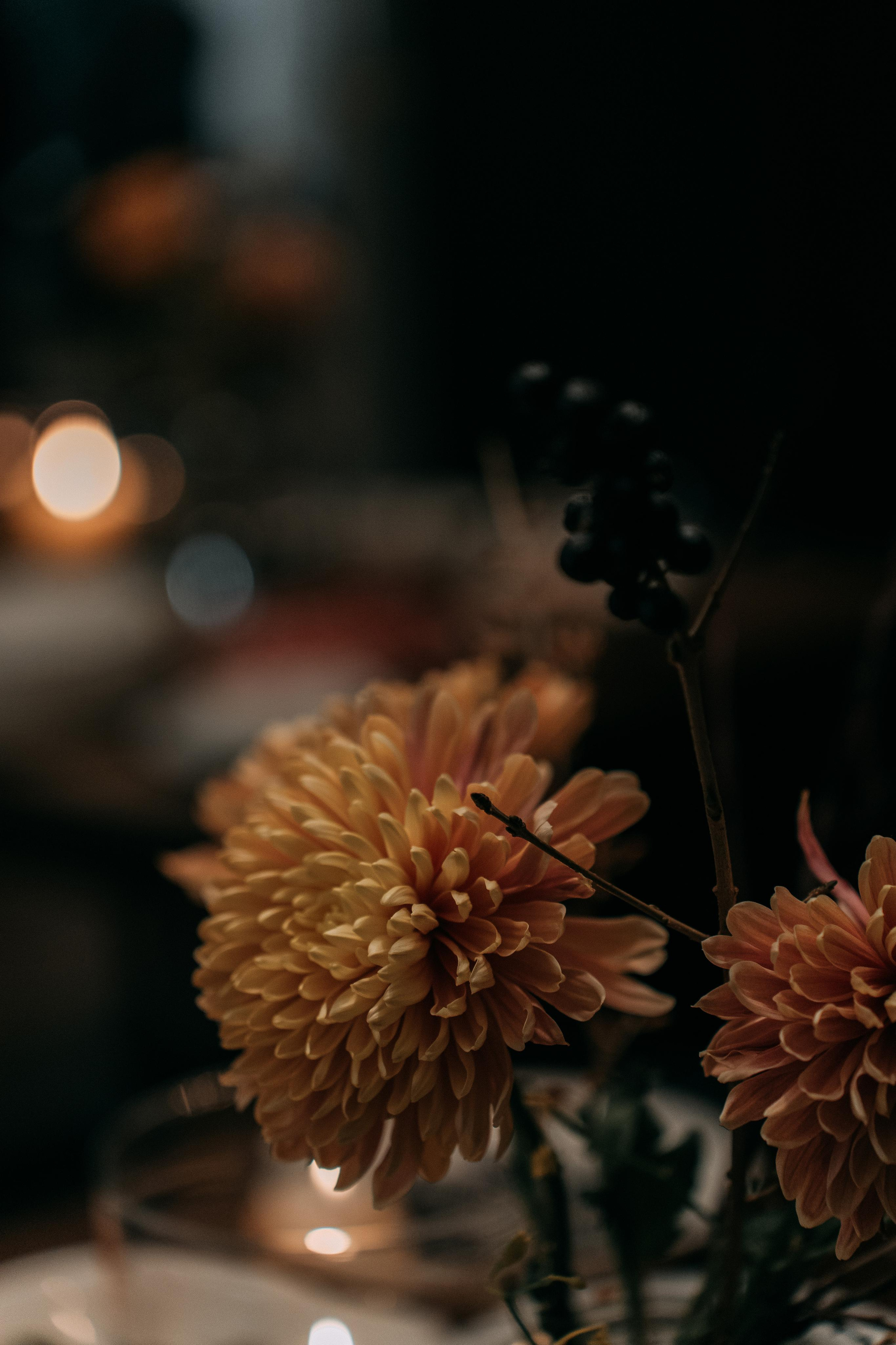 Фотограф на корпоратив в отеле Рихтер в Москве