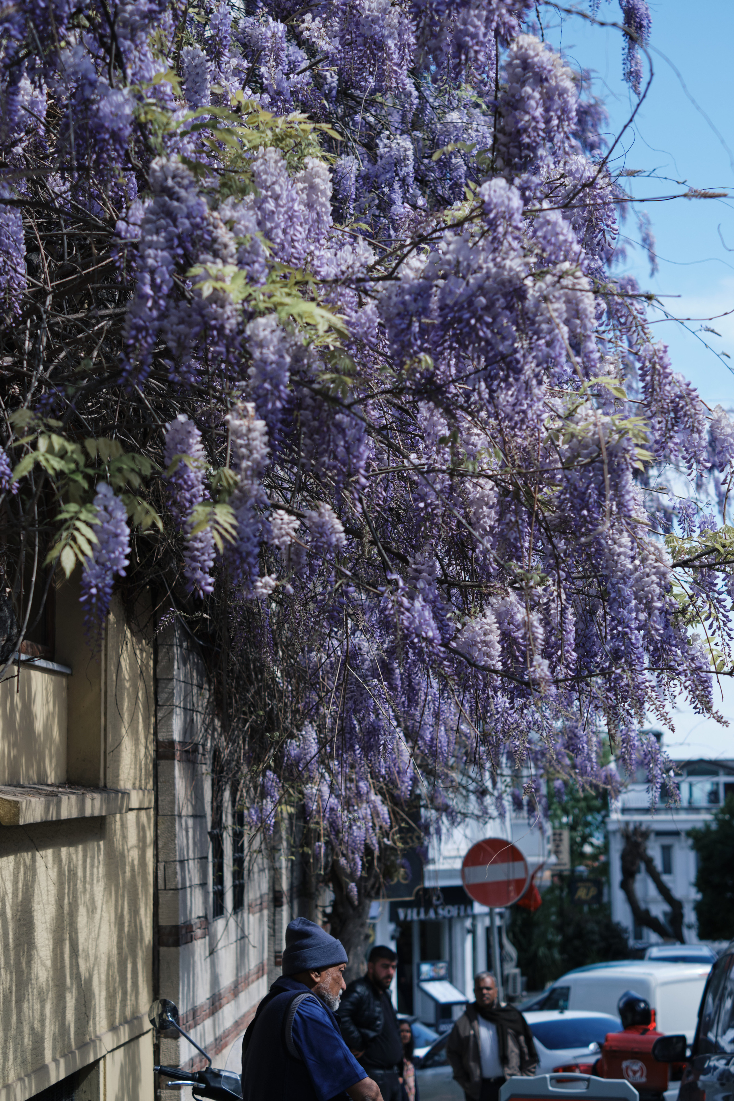 Весенняя поездка в Стамбул. Фотографии. Елена Павленко. Фотограф. Москва