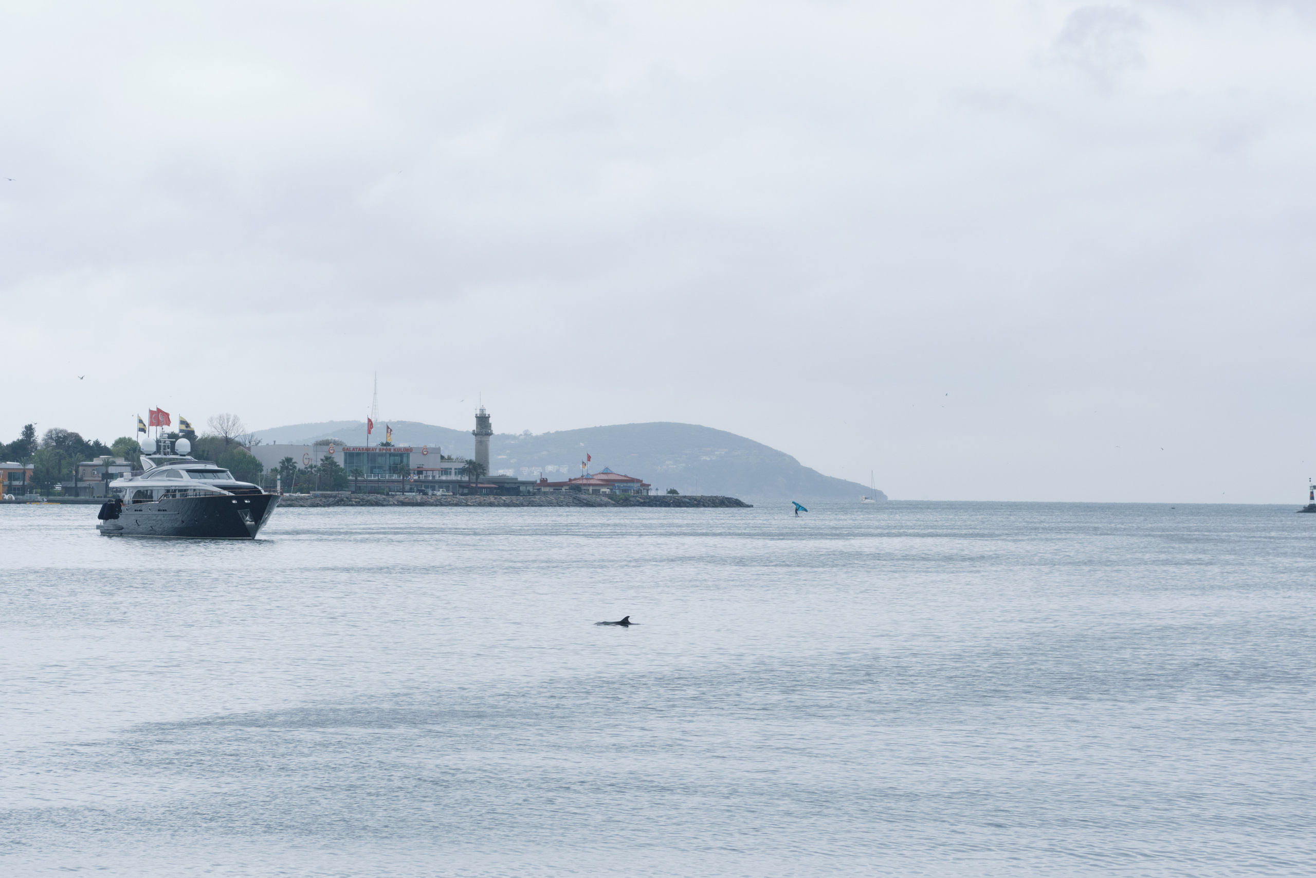Весенняя поездка в Стамбул. Фотографии. Елена Павленко. Фотограф. Москва