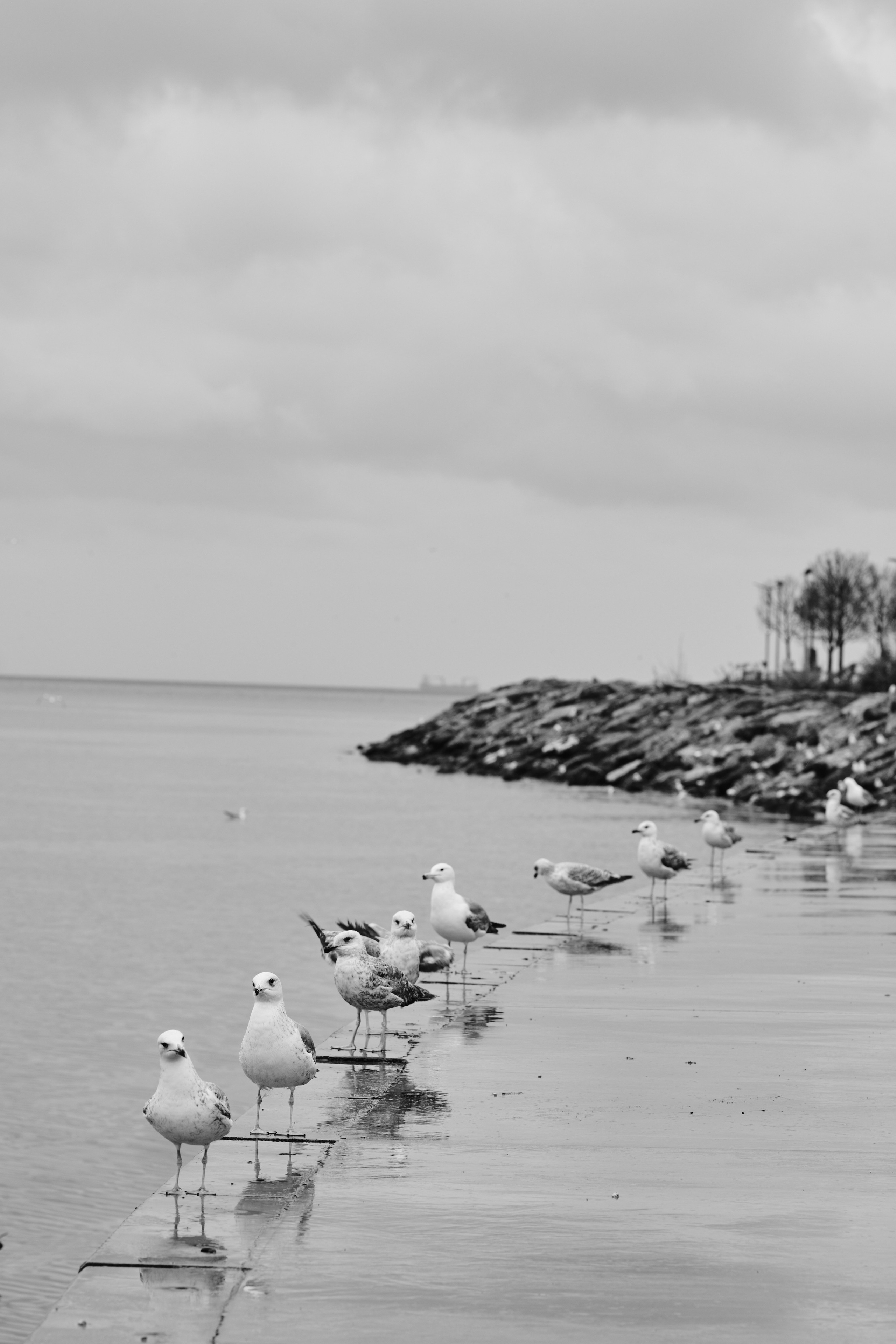 Черно-белые фотографии из весенней поездки в Стамбул. Елена Павленко. Фотограф. Москва