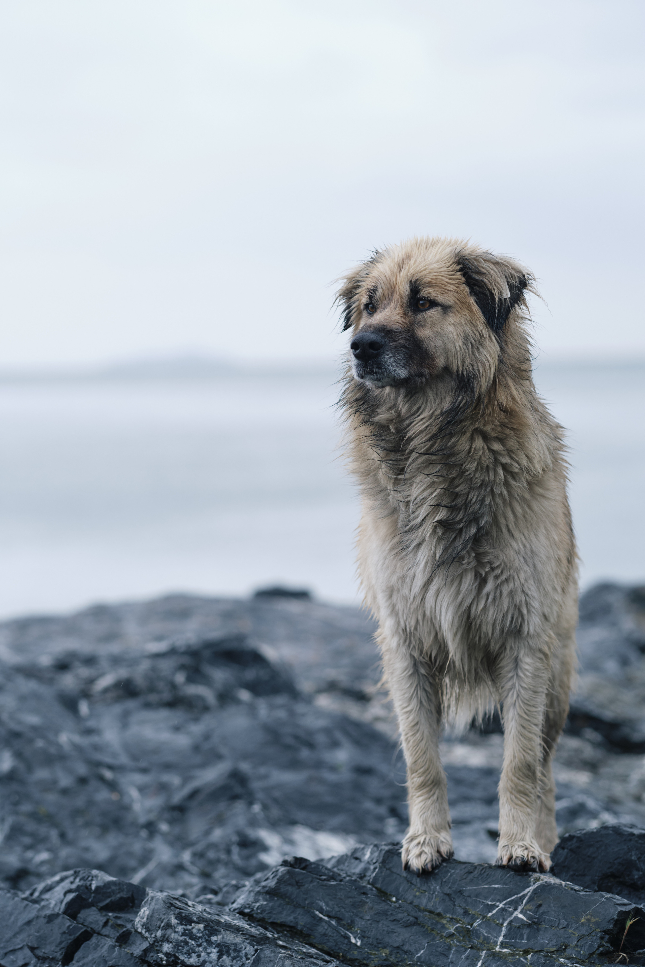 Весенняя поездка в Стамбул. Фотографии. Елена Павленко. Фотограф. Москва