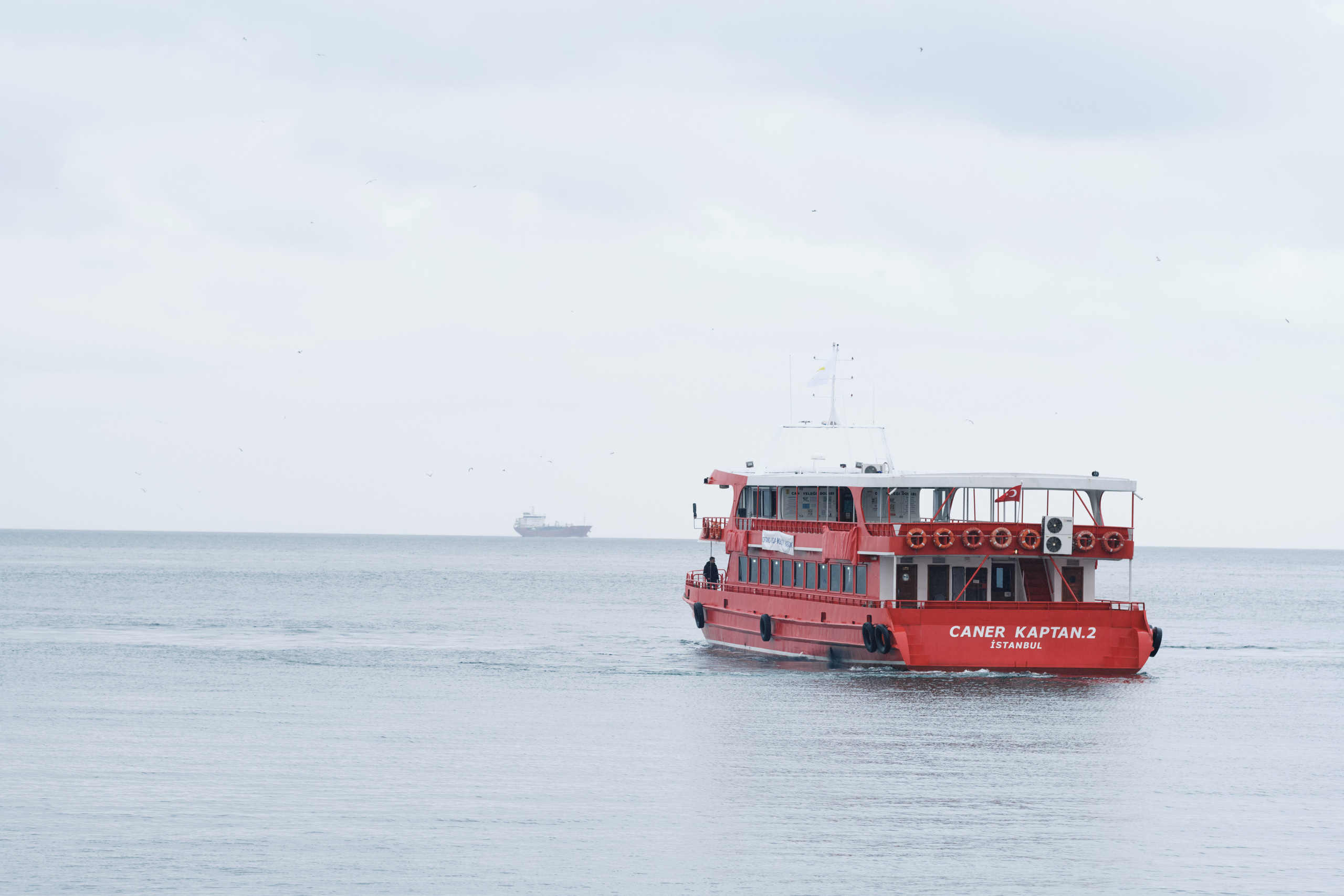 Весенняя поездка в Стамбул. Фотографии. Елена Павленко. Фотограф. Москва