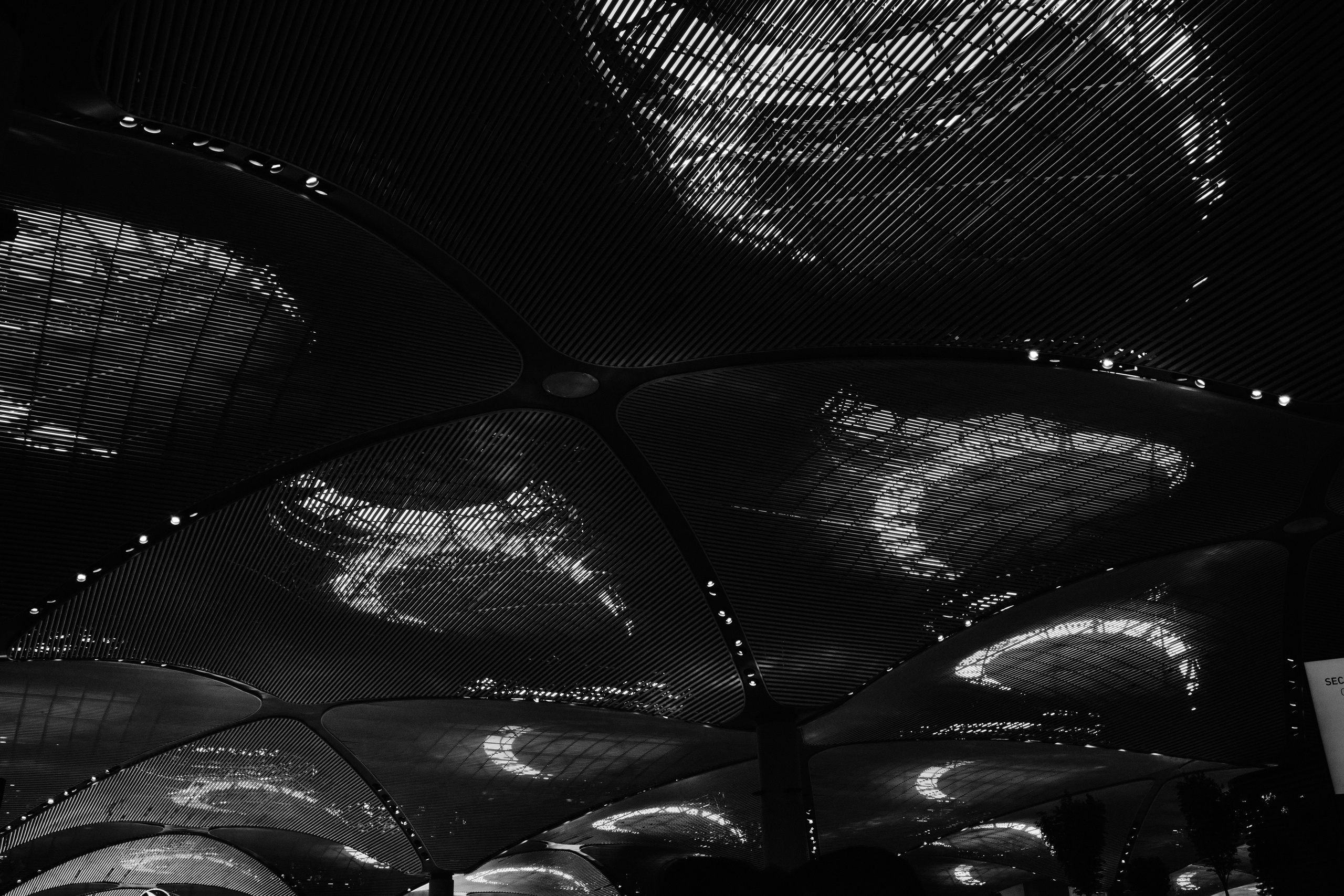 Черно-белые фотографии из весенней поездки в Стамбул. Елена Павленко. Фотограф. Москва