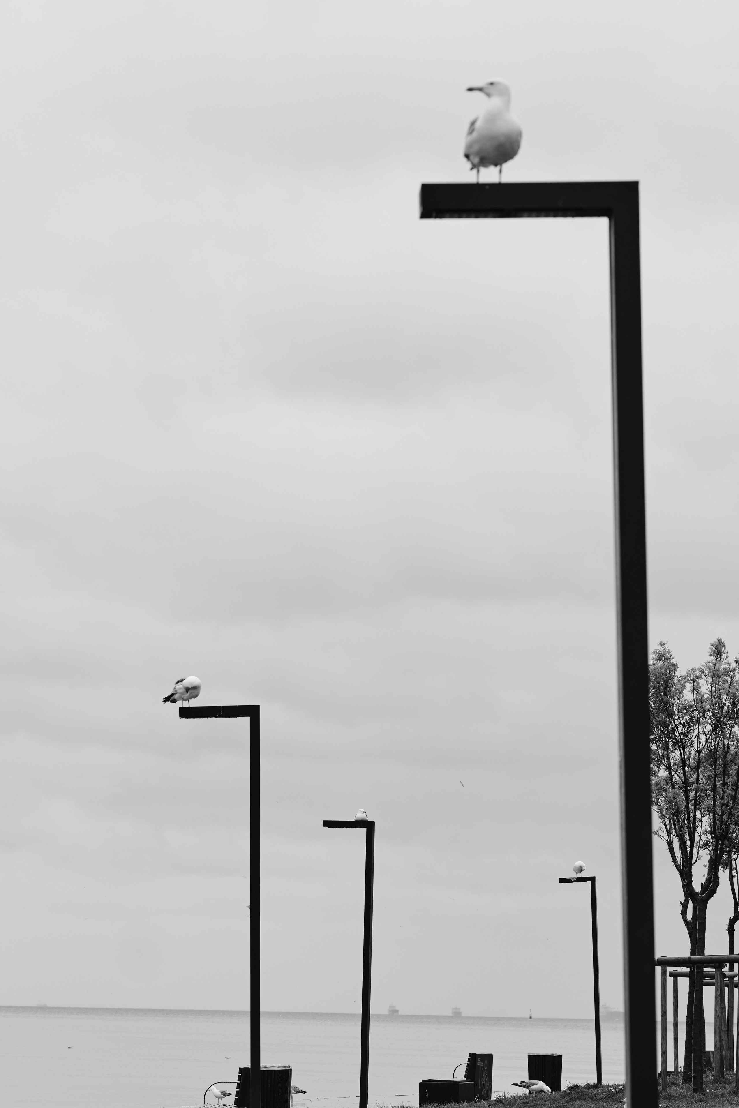 Черно-белые фотографии из весенней поездки в Стамбул. Елена Павленко. Фотограф. Москва