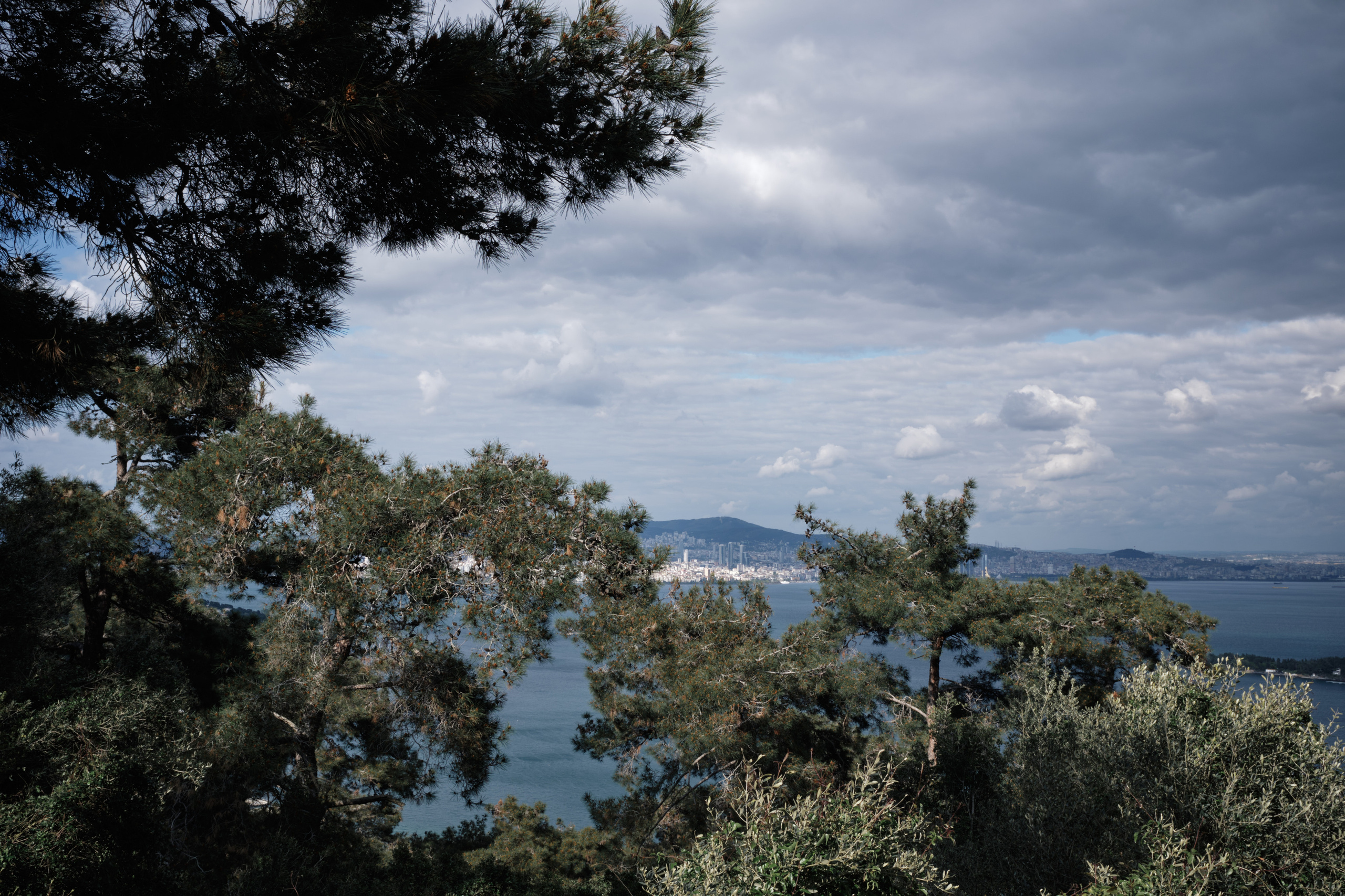 Весенняя поездка в Стамбул. Фотографии. Елена Павленко. Фотограф. Москва
