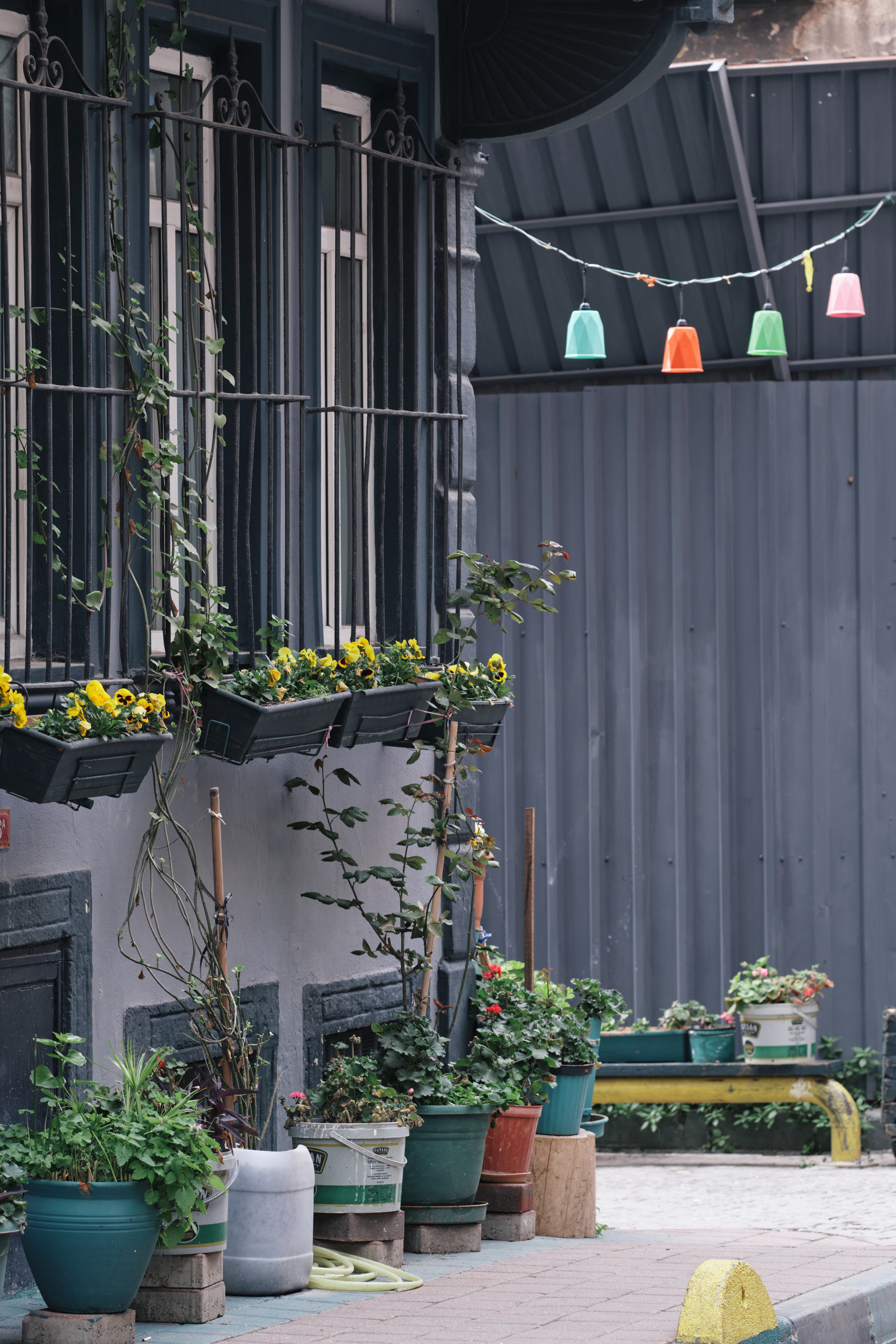 Весенняя поездка в Стамбул. Фотографии. Елена Павленко. Фотограф. Москва