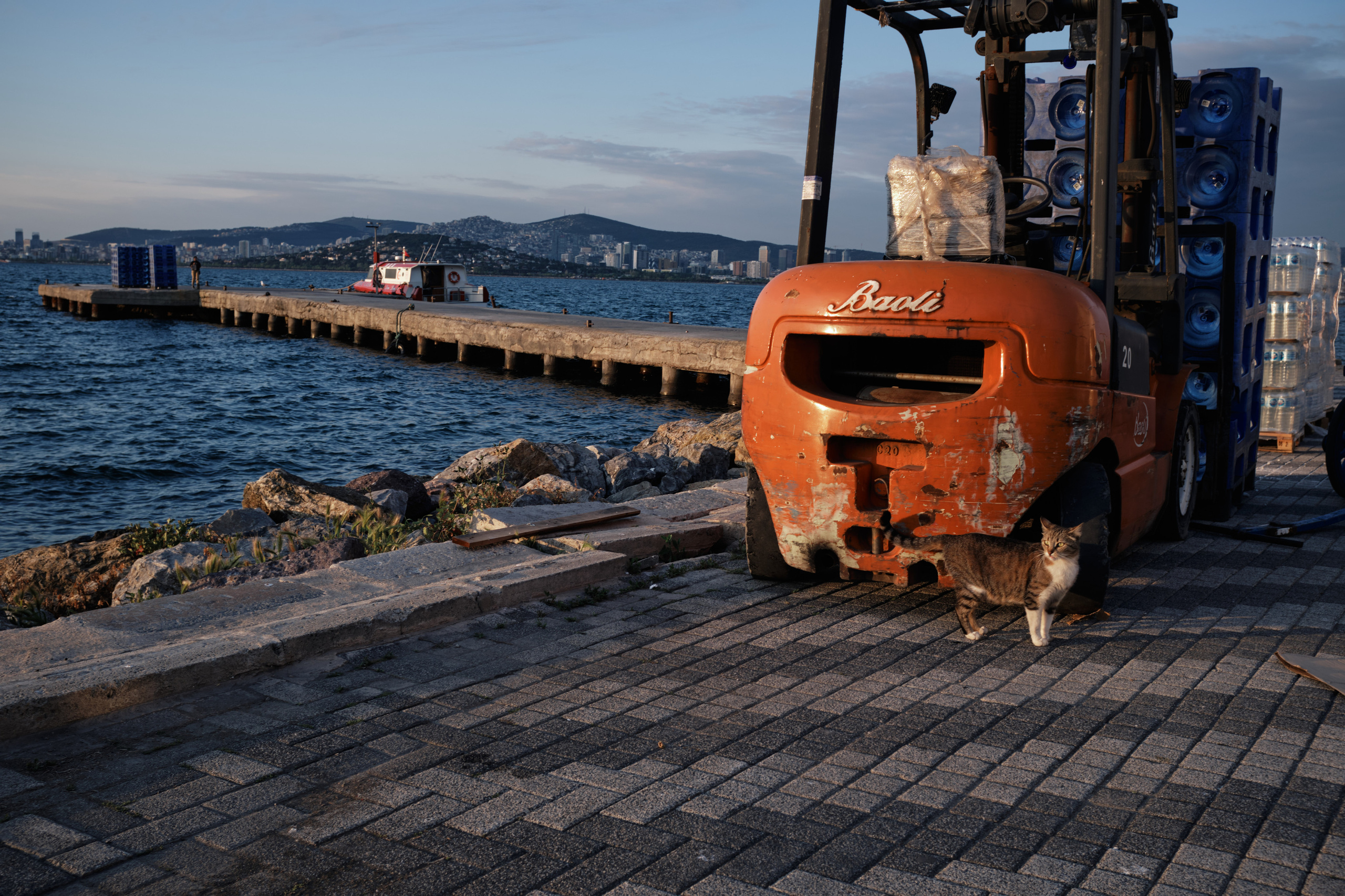 Весенняя поездка в Стамбул. Фотографии. Елена Павленко. Фотограф. Москва