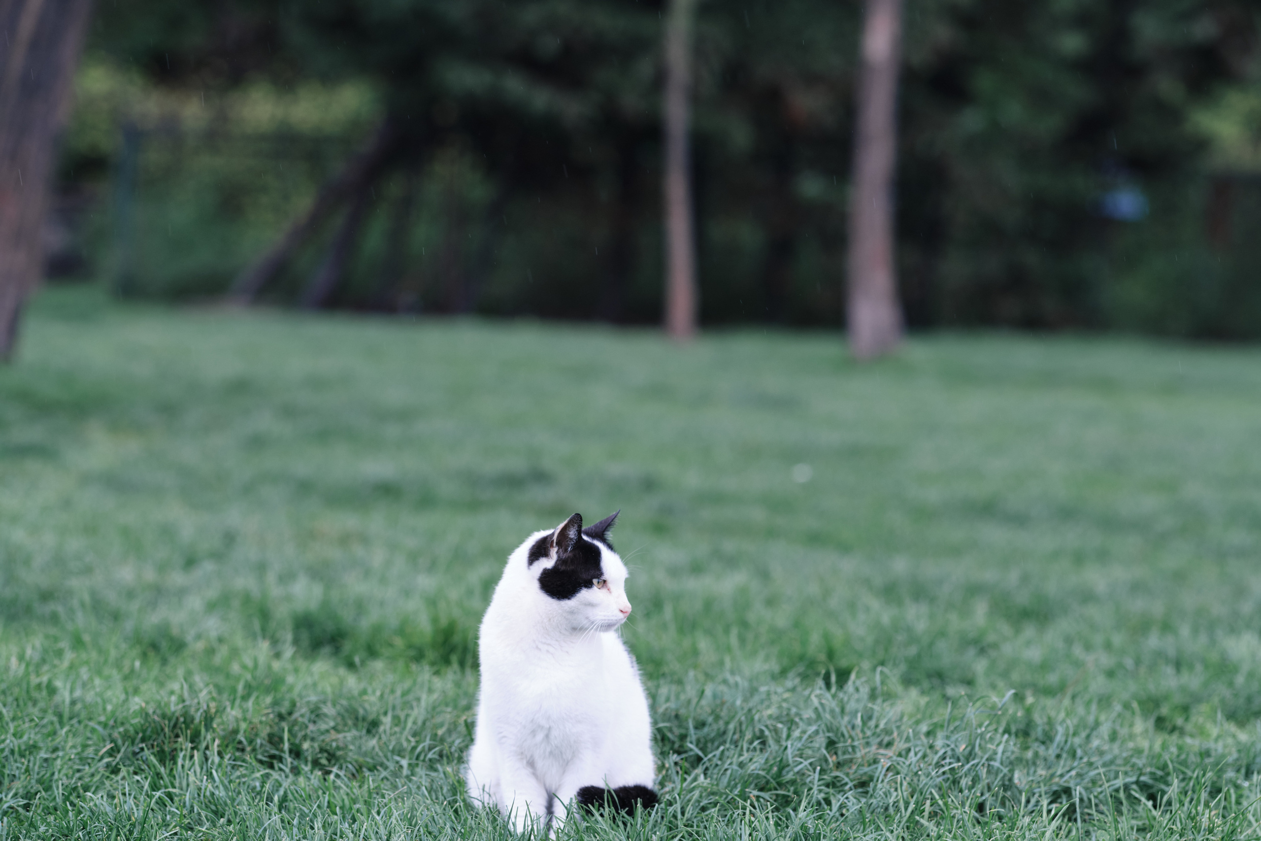 Весенняя поездка в Стамбул. Фотографии. Елена Павленко. Фотограф. Москва