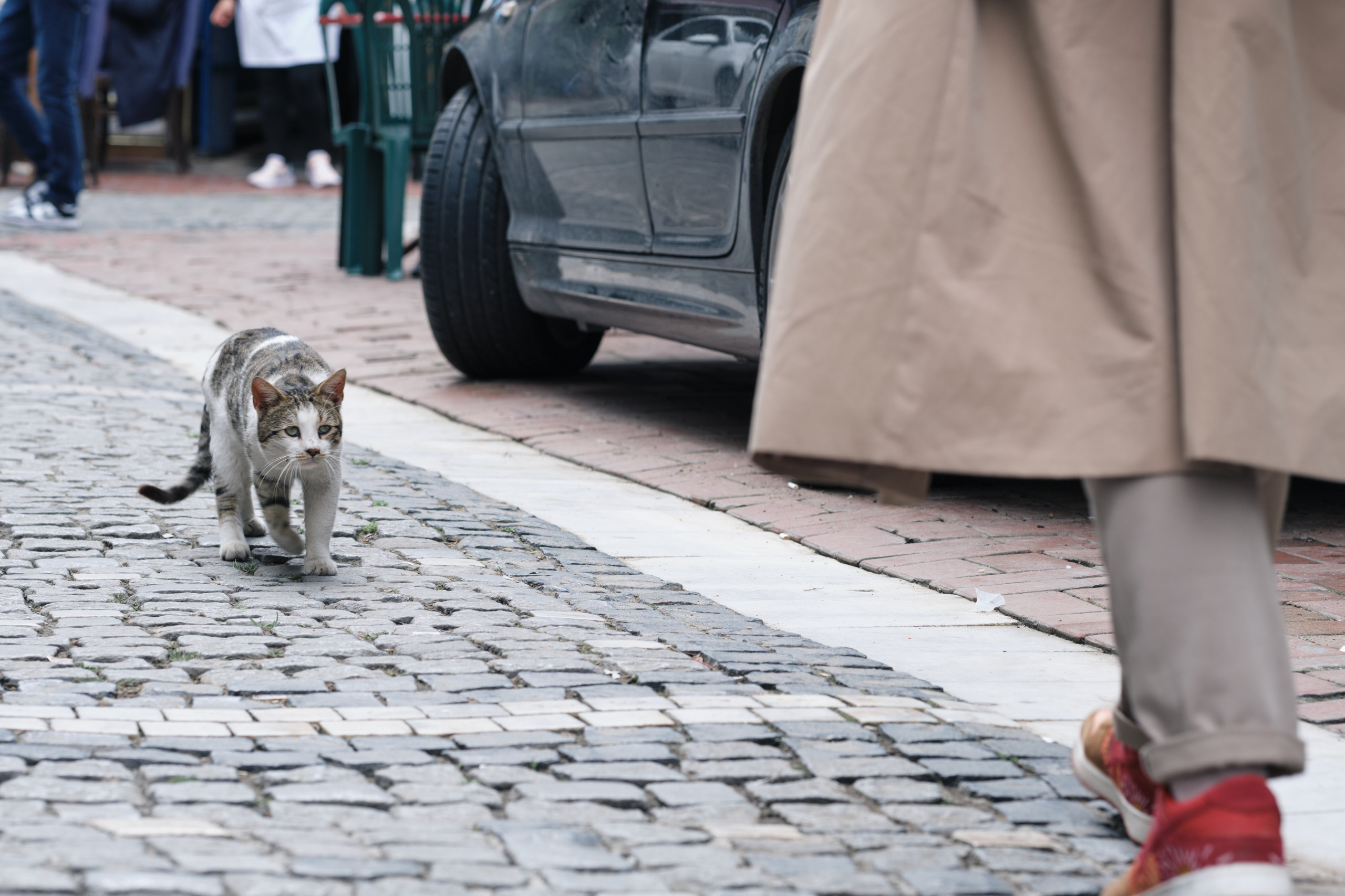 Весенняя поездка в Стамбул. Фотографии. Елена Павленко. Фотограф. Москва