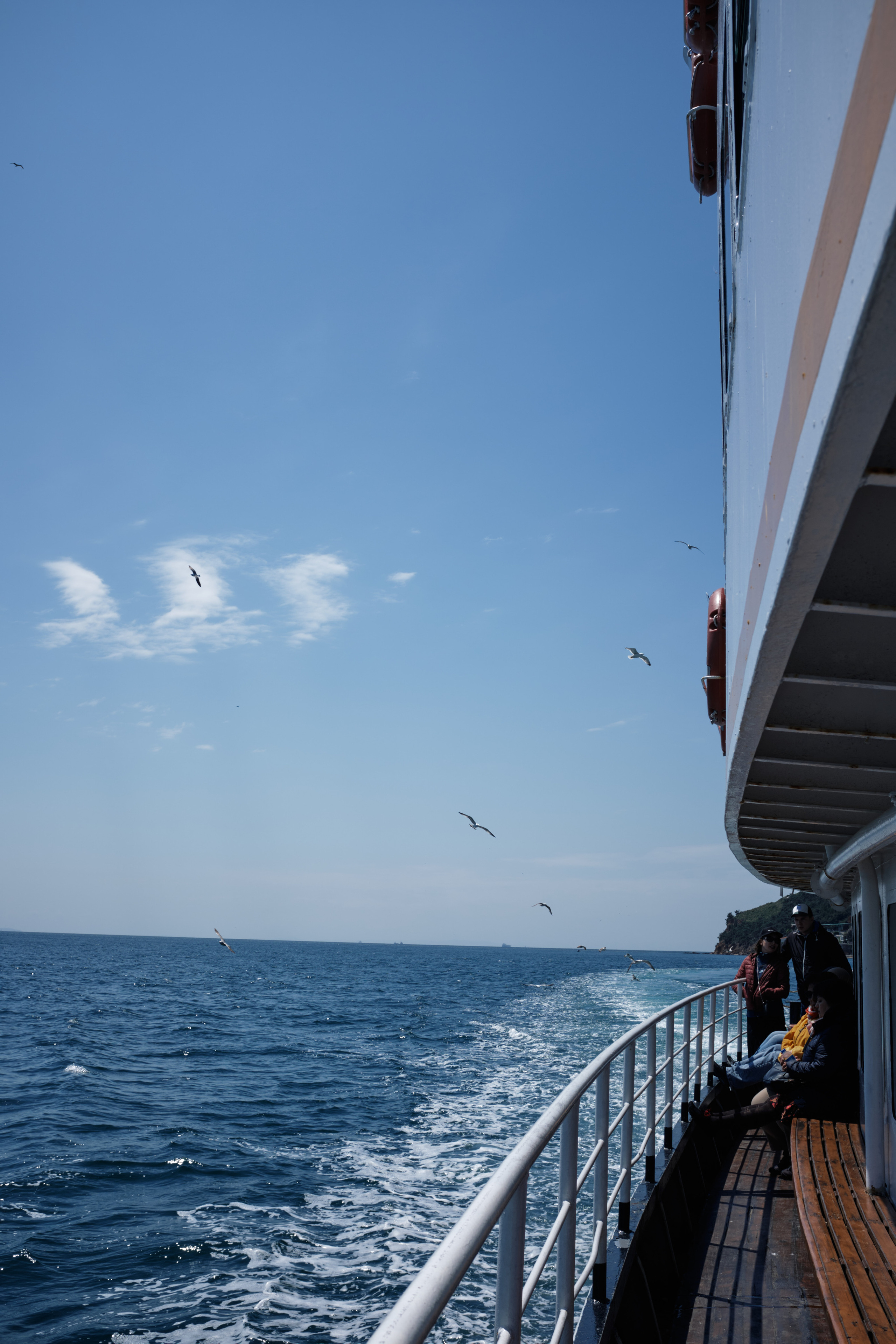 Весенняя поездка в Стамбул. Фотографии. Елена Павленко. Фотограф. Москва
