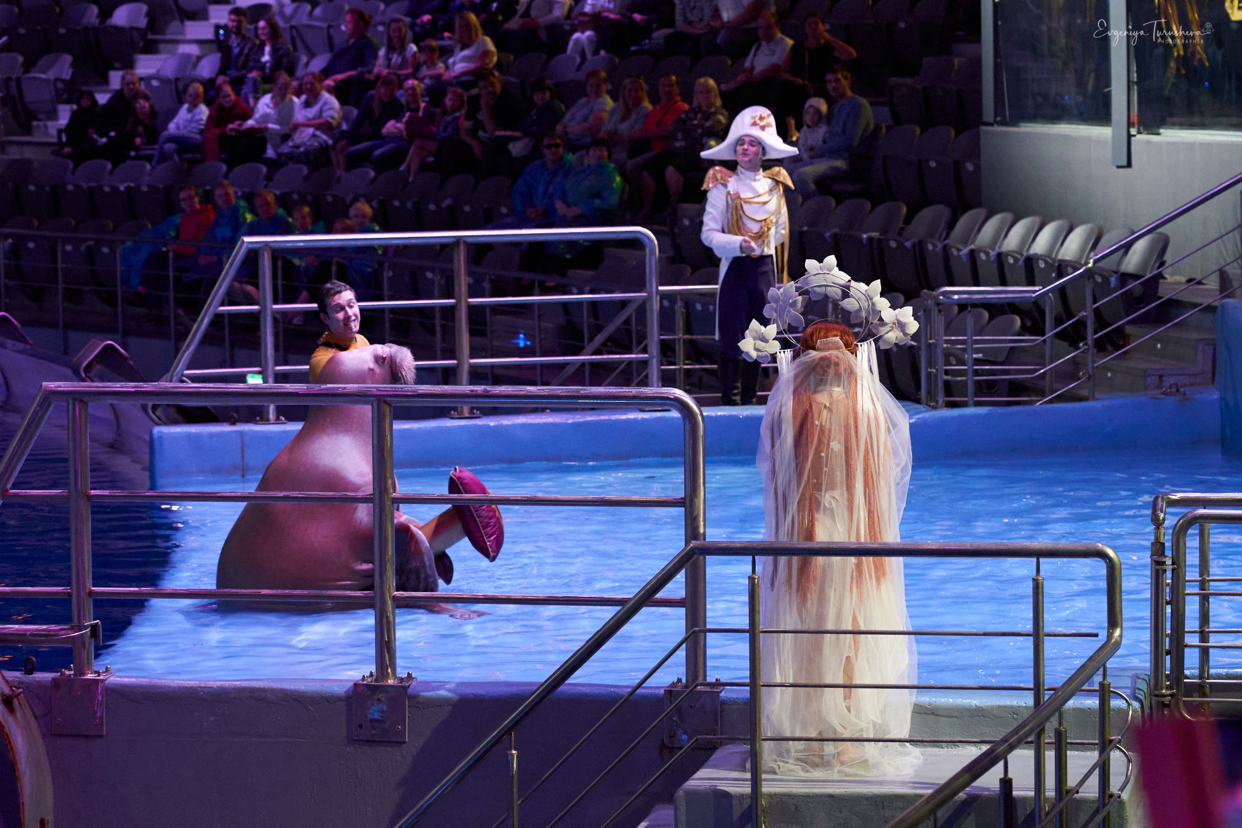 Шоу Буря. Москвариум. Фотограф Евгения Турушева