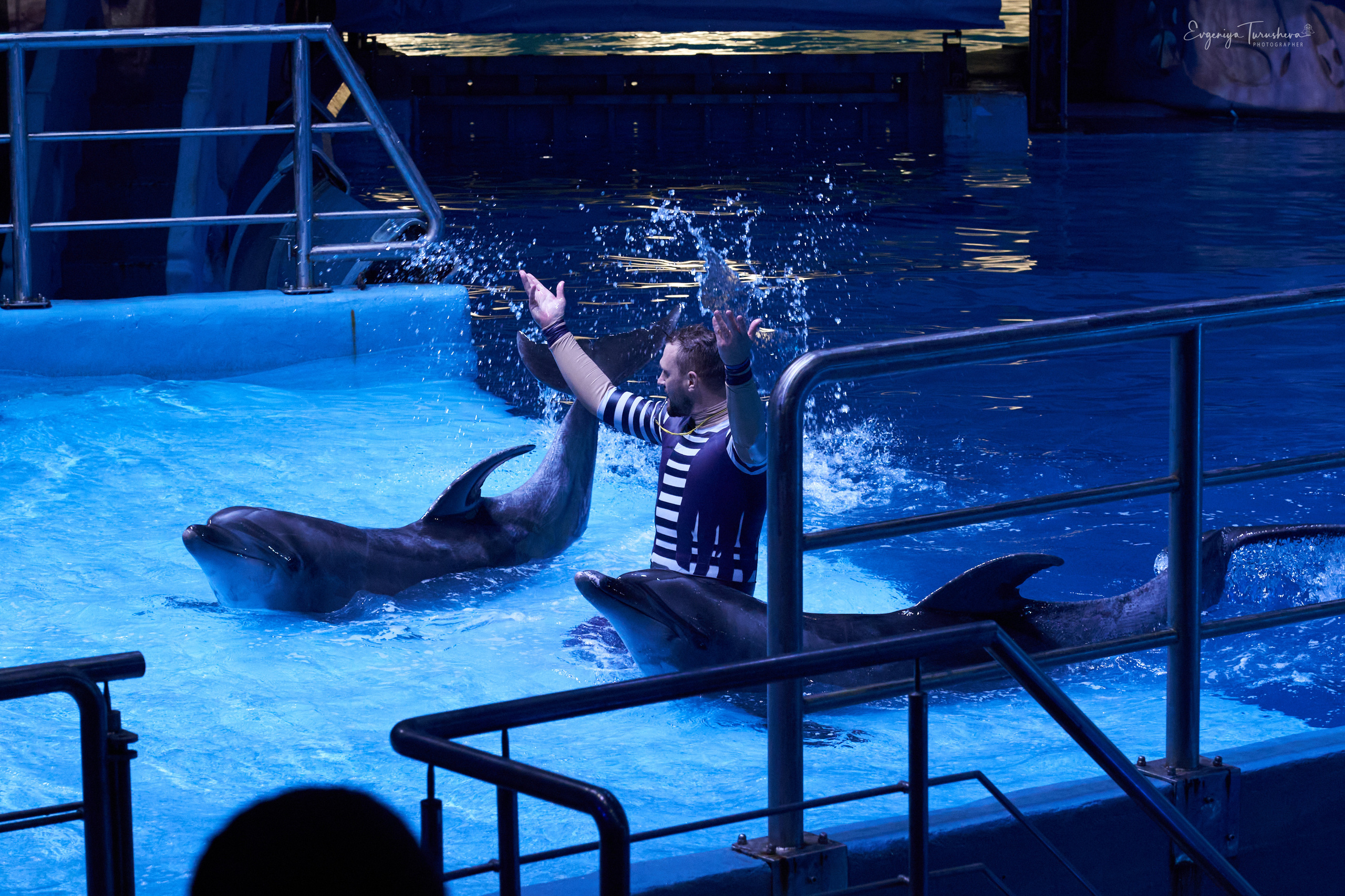 Шоу Буря. Москвариум. Фотограф Евгения Турушева