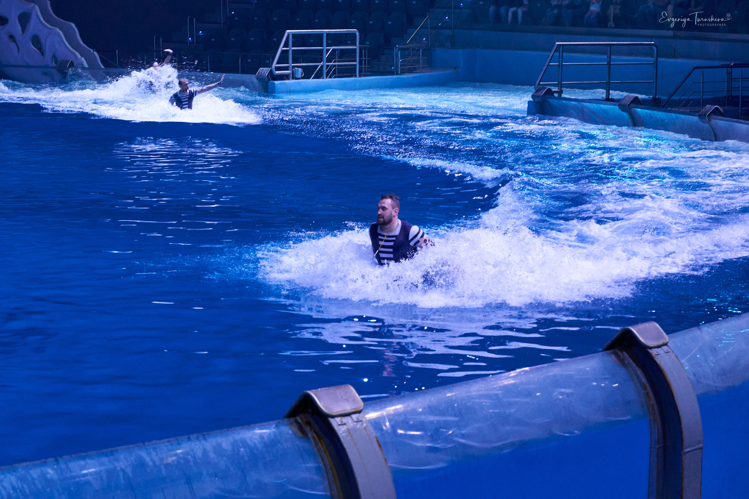 Шоу Буря. Москвариум. Фотограф Евгения Турушева
