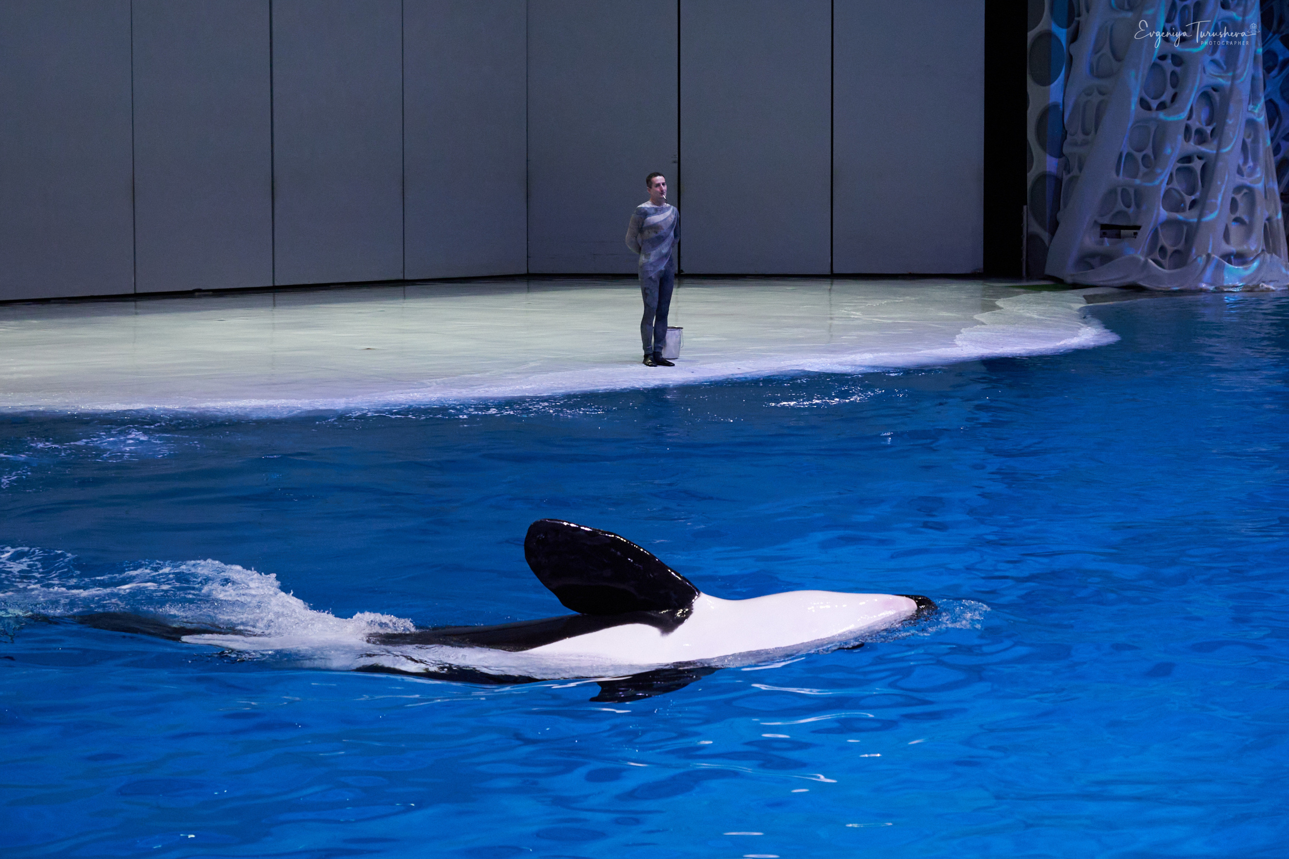 Шоу Буря. Москвариум. Фотограф Евгения Турушева