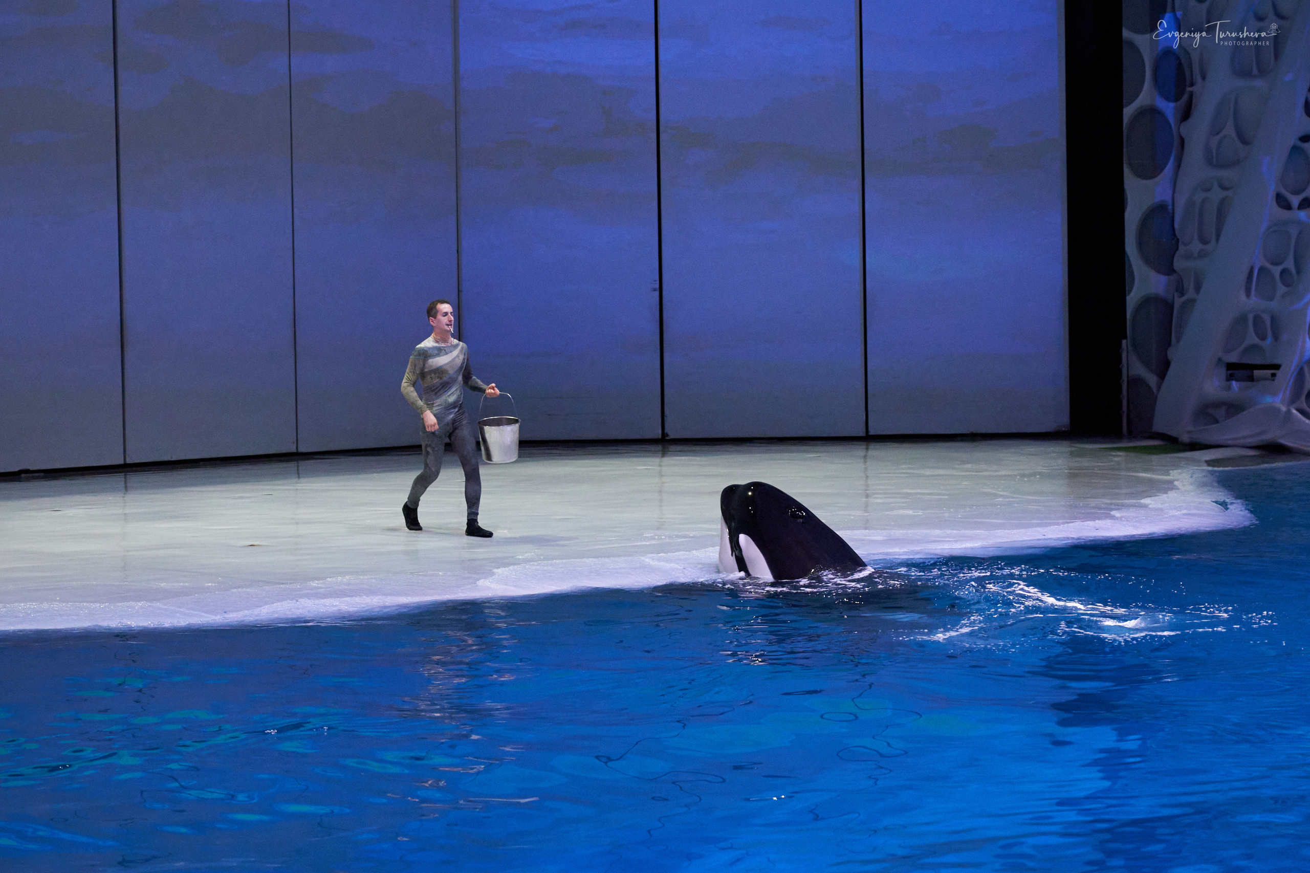 Шоу Буря. Москвариум. Фотограф Евгения Турушева