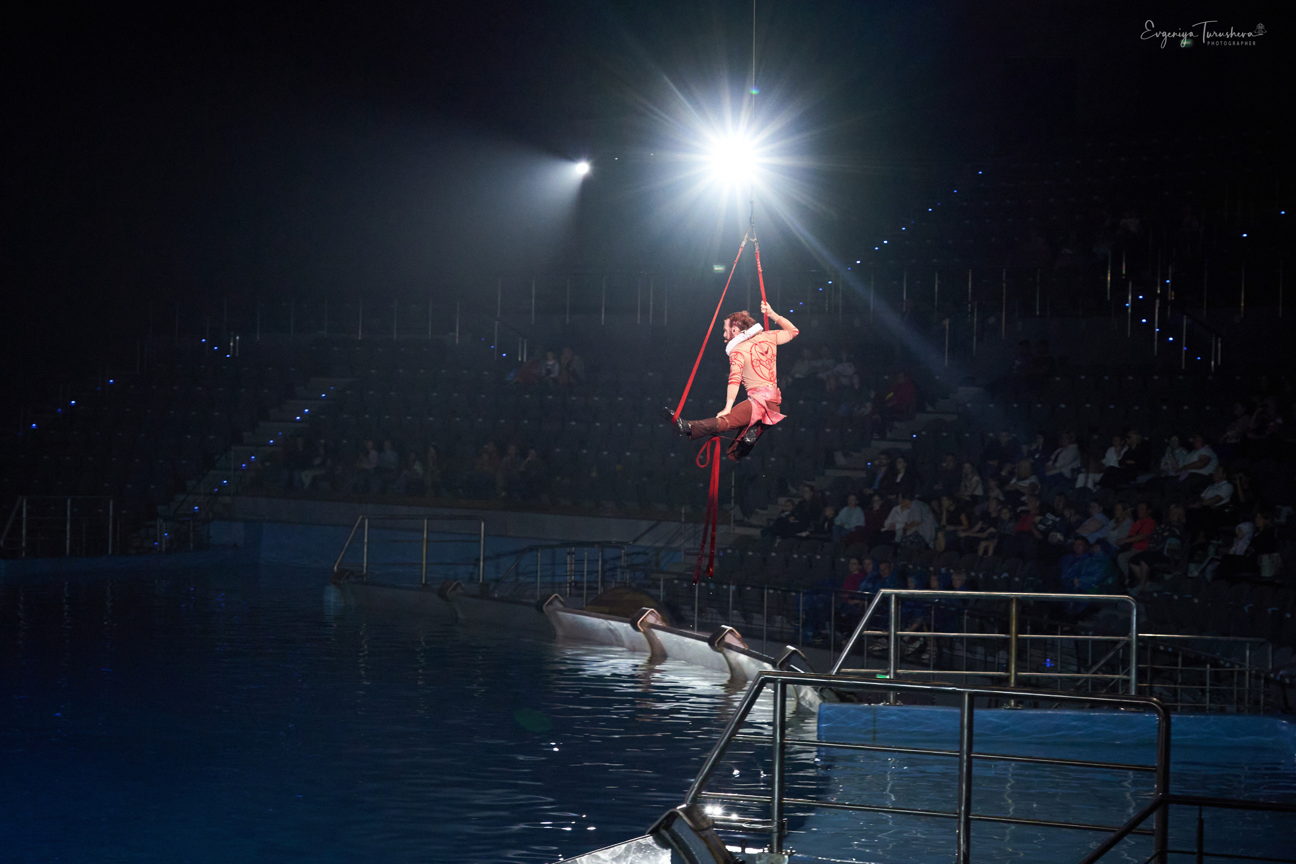 Шоу Буря. Москвариум. Фотограф Евгения Турушева