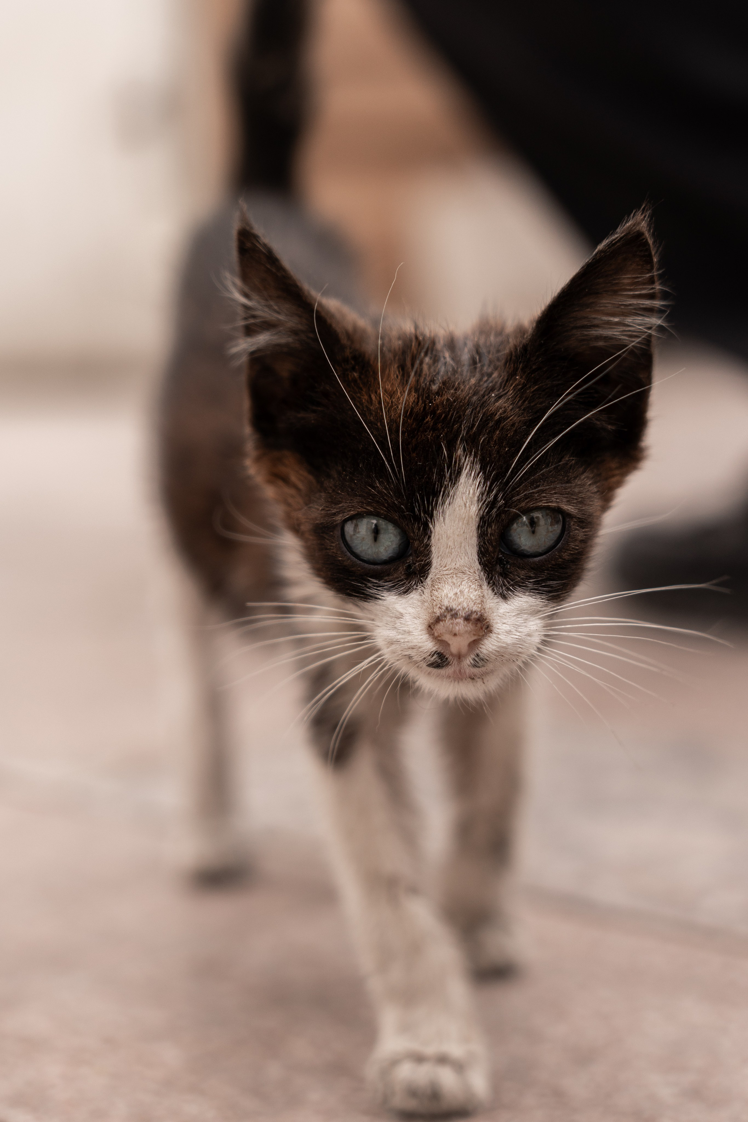 Марокко. Илья Варин — Фотограф Москва, Тверь