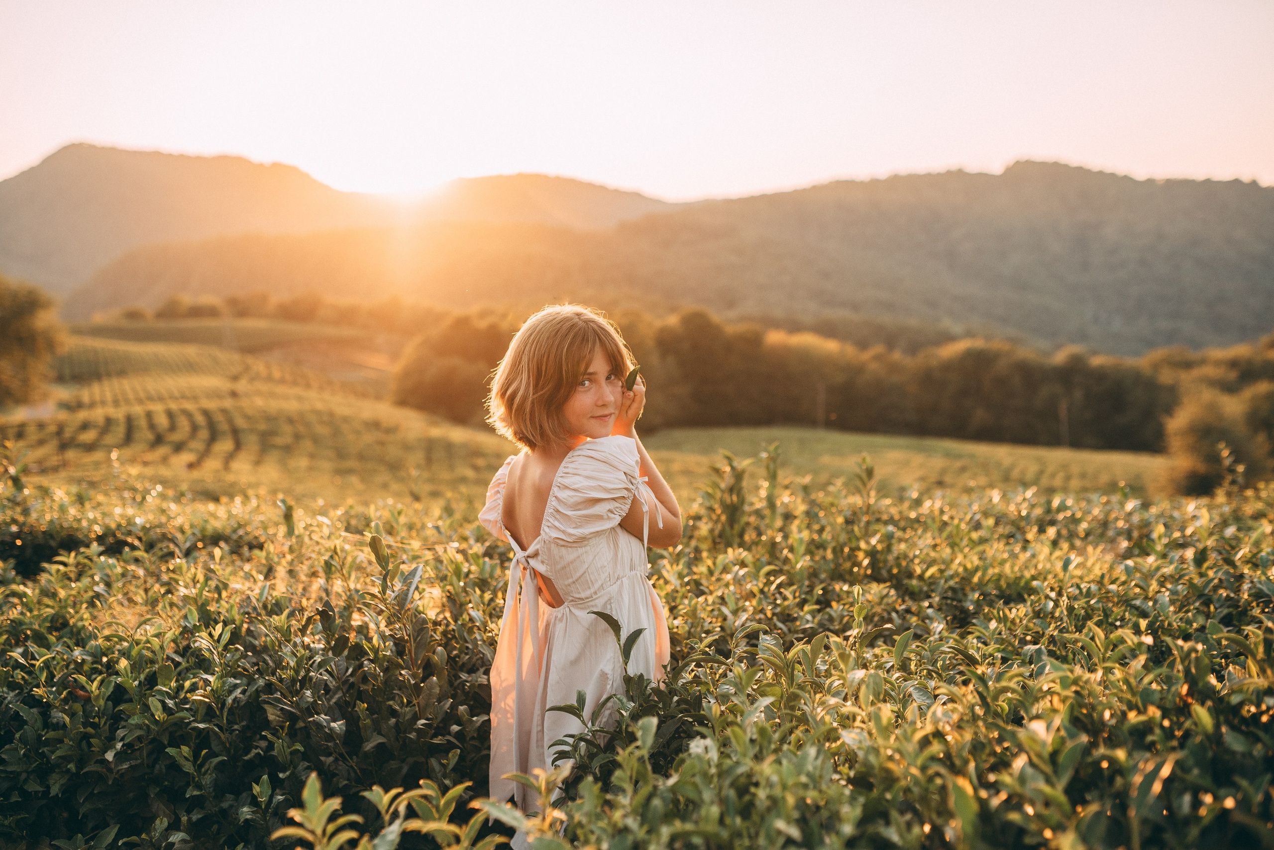 Семейная фотосессия на чайных плантациях в Сочи. Фотограф в Сочи — Маргарита Поганова