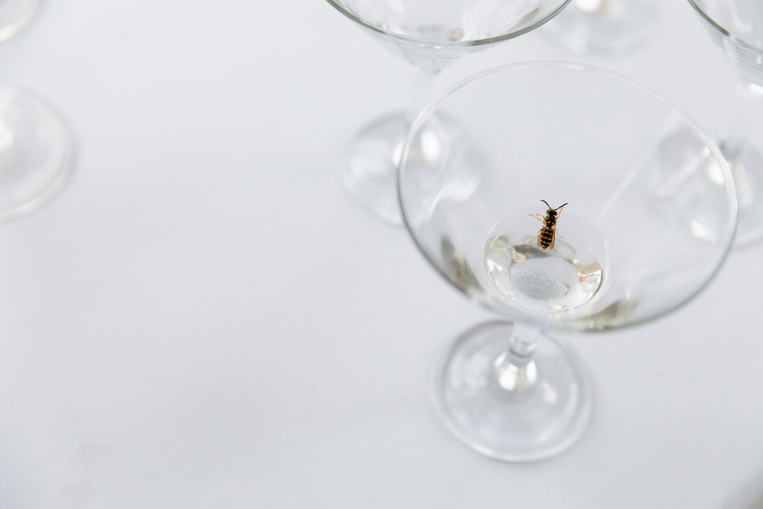 Дима и Амина