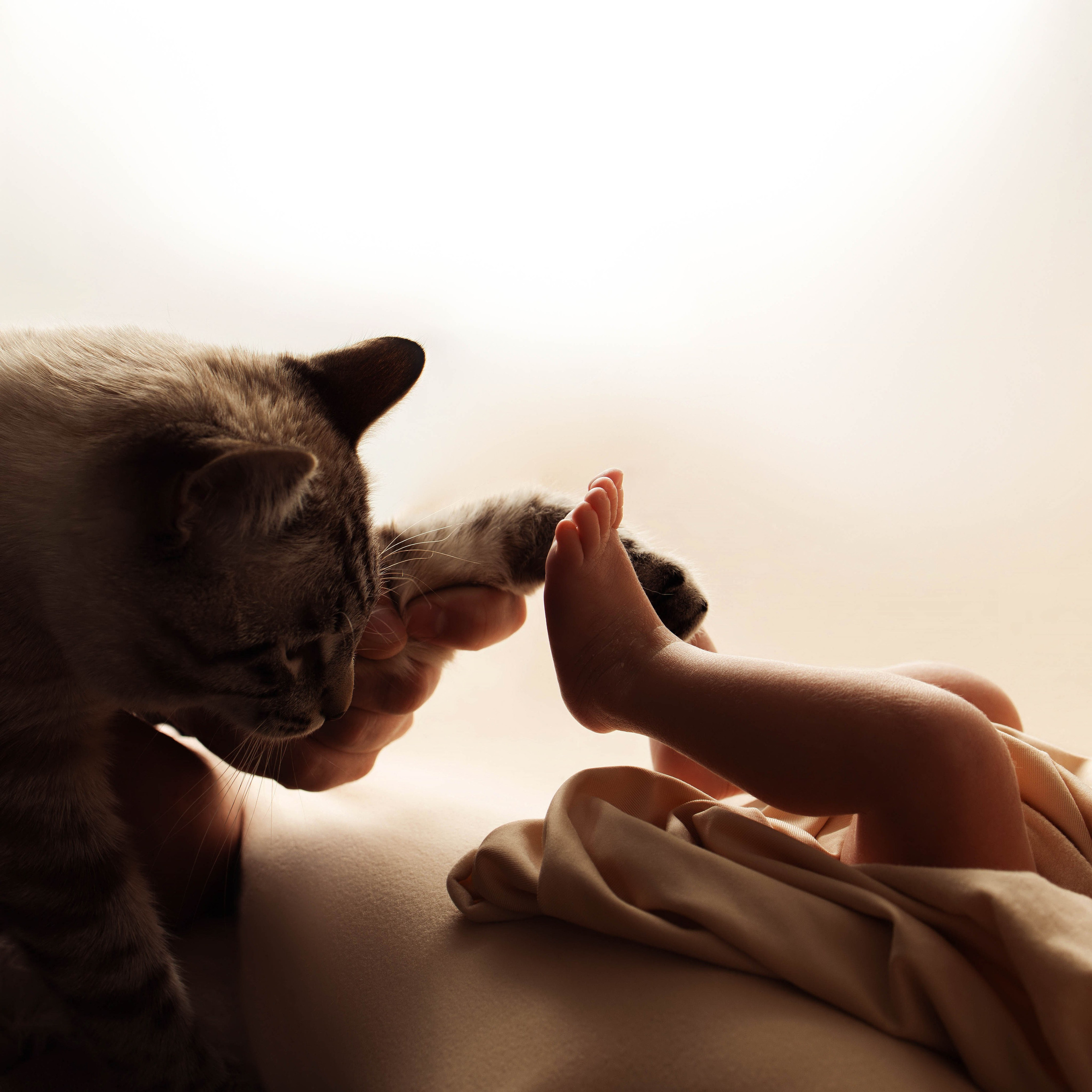 Фотограф новорожденных в Нижнем Новгороде Анастасия Шульпина