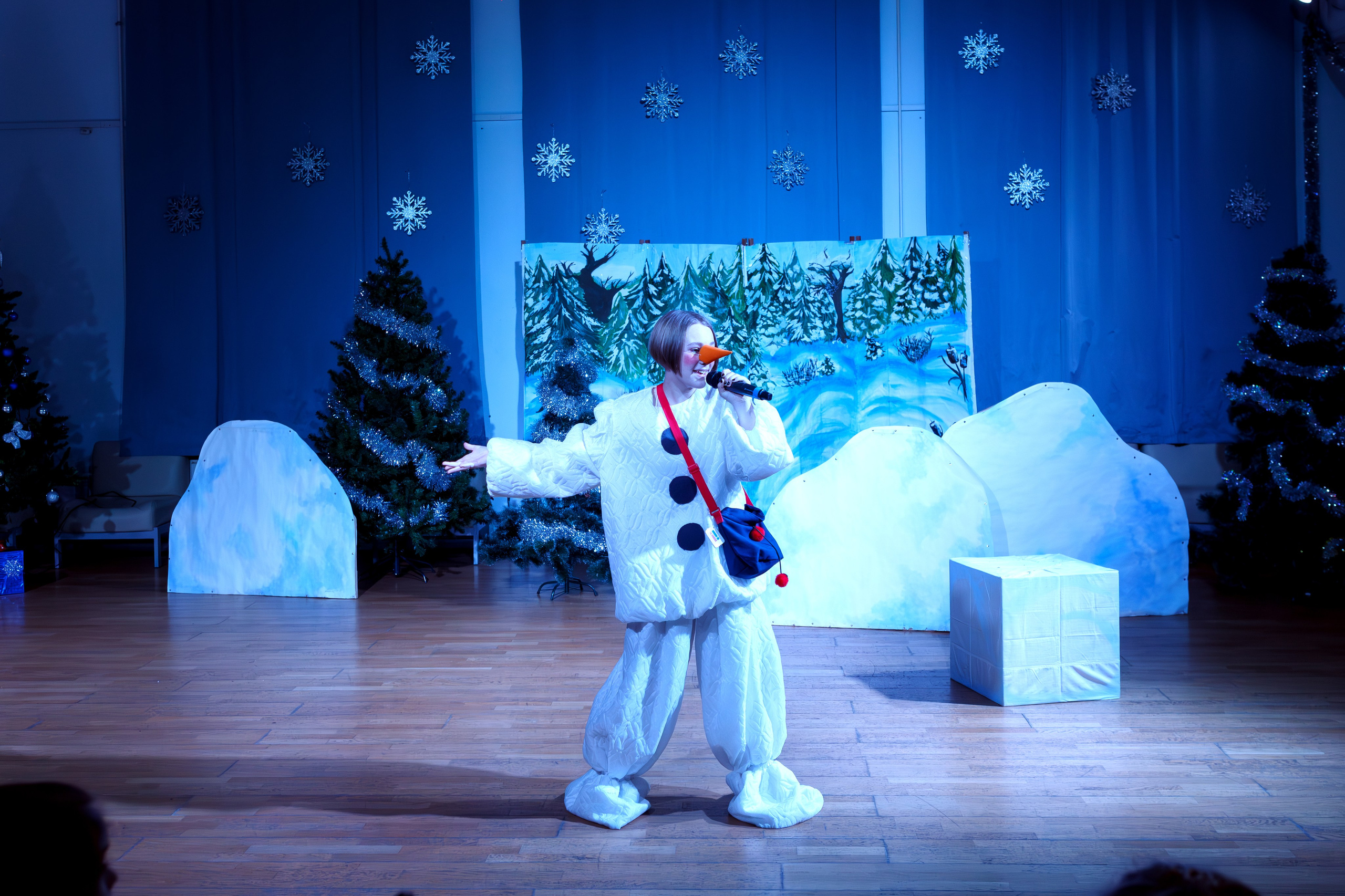 Новогодний утренник в ЦДТ г. Подольск. Выпускные альбомы и школьный фотограф в Подольске, Троицке, Щербинке, Москве и Московской области