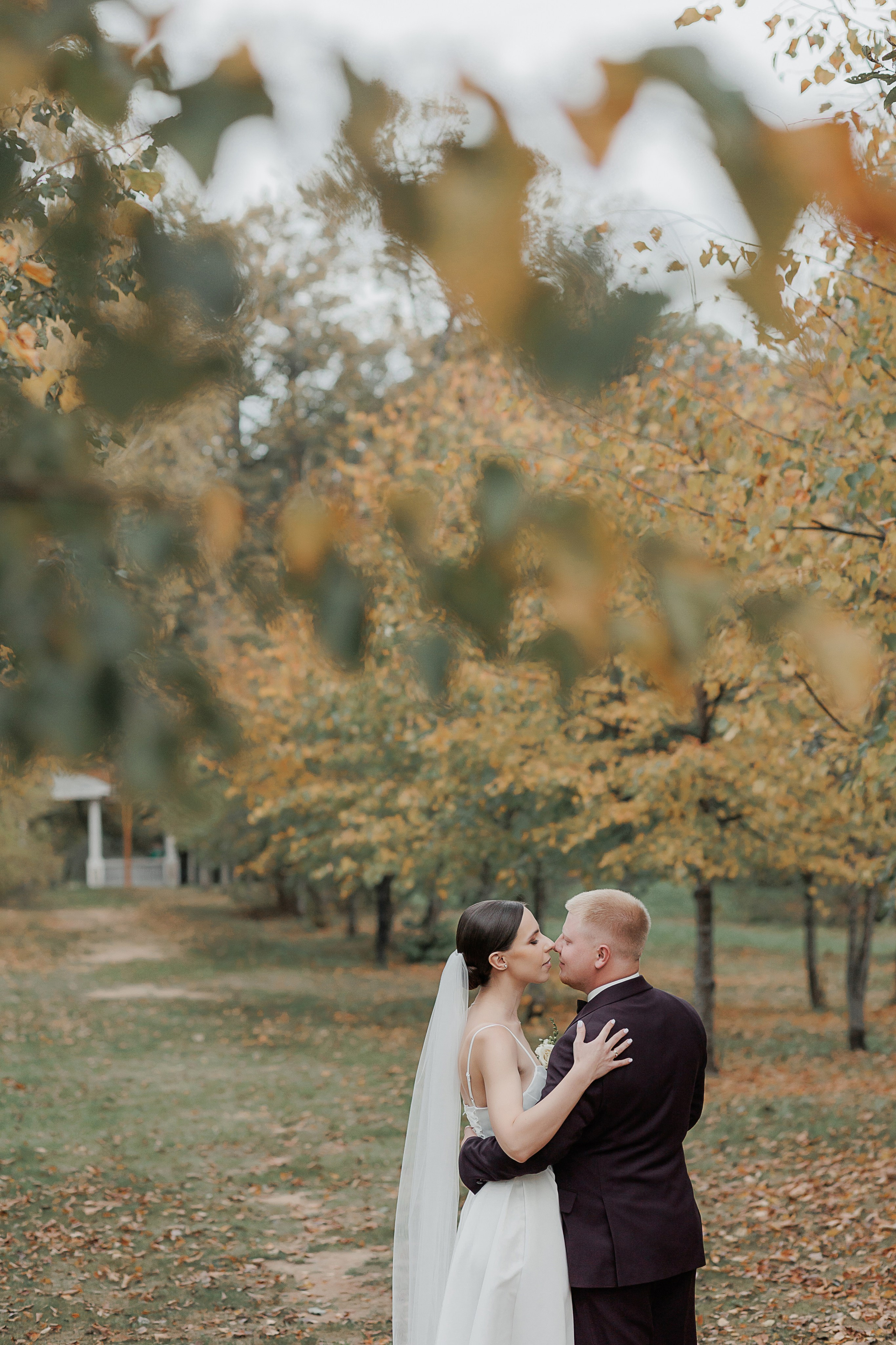 Свадебная съемка (1). Свадебный и семейный фотограф в Твери и Тверской области