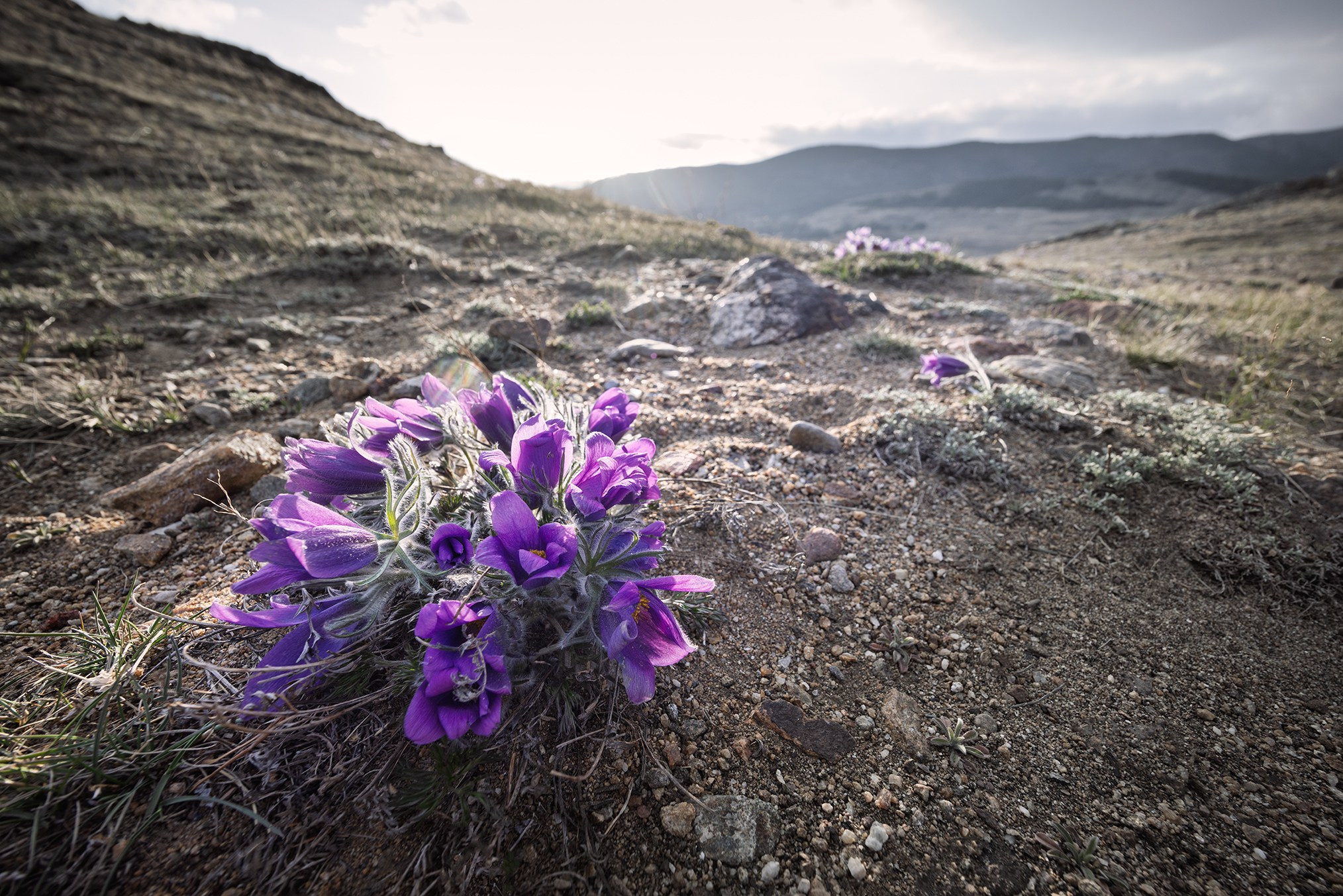 Байкал. High-quality interior photos for your home, office, hotel