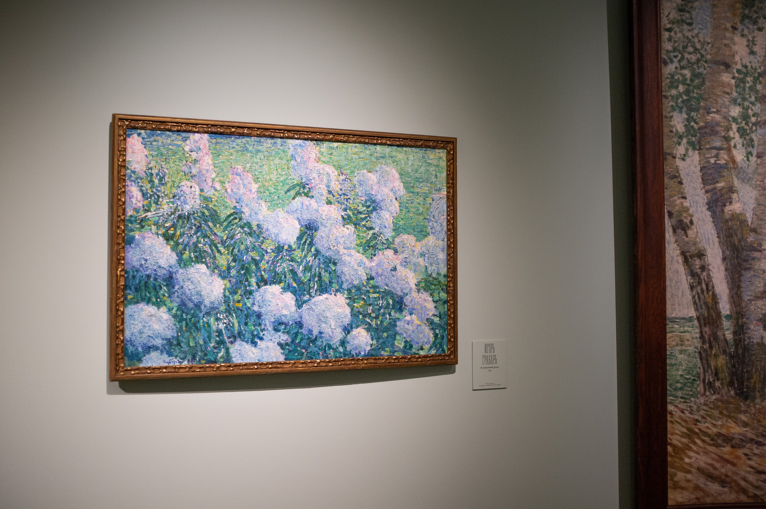 Изображая воздух. Свет и цвет. Искусство фотографии. Мария Осокина