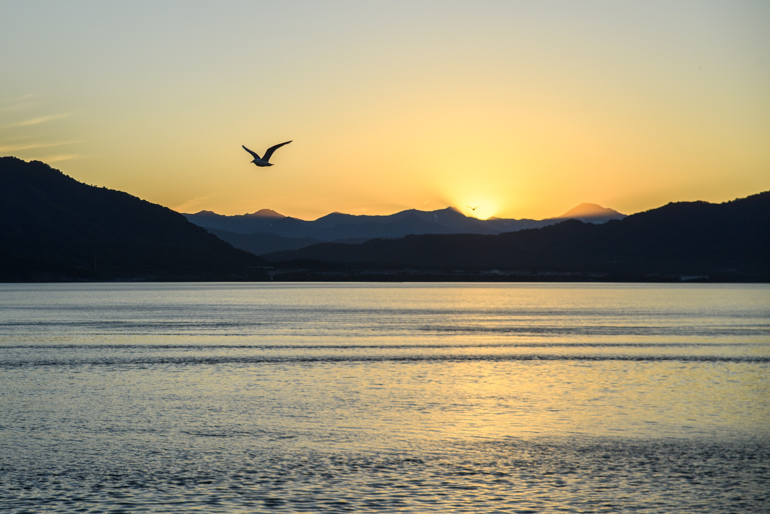 Фотограф Андрей Русов. Официальный сайт