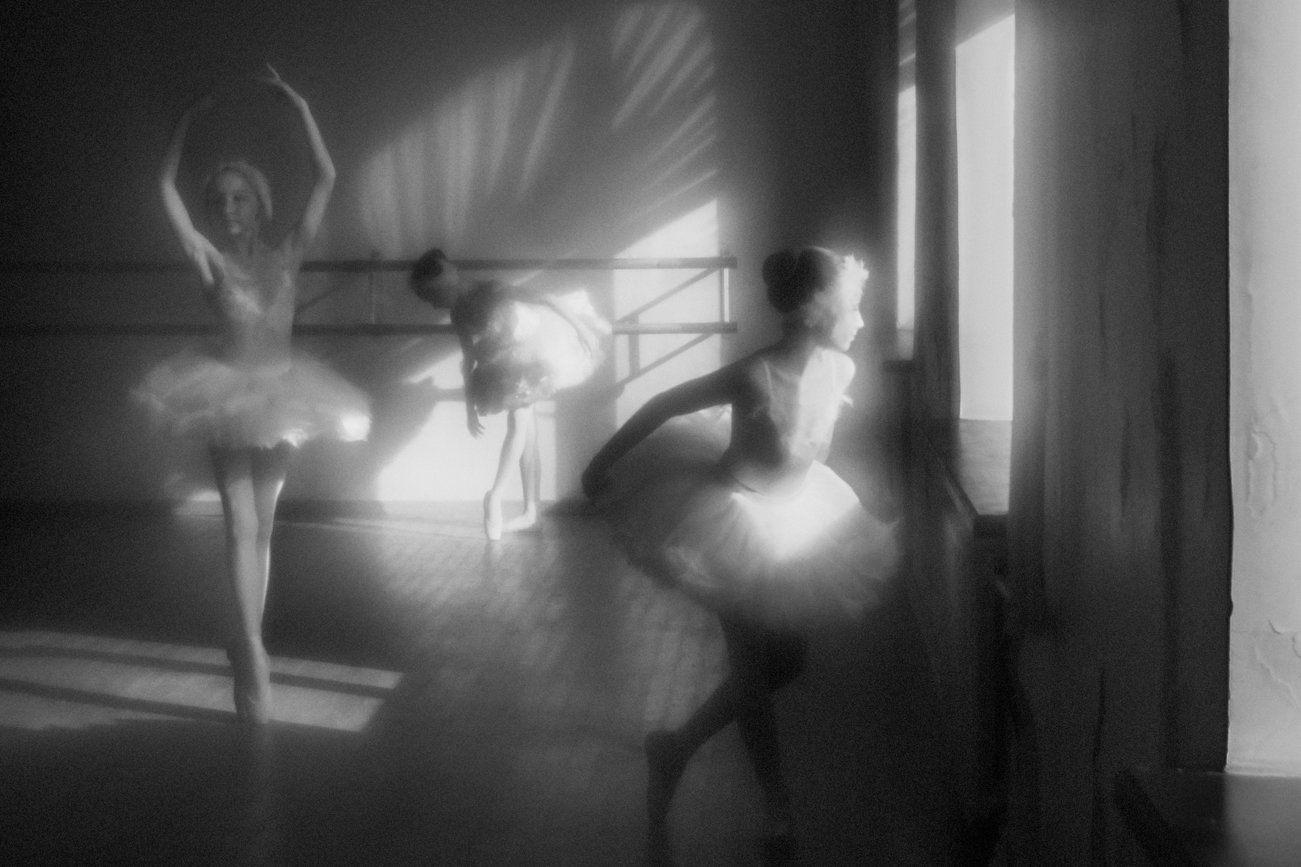 Одуванчики в пуантах. Женский семейный фотограф Тула Москва Захарова Анна