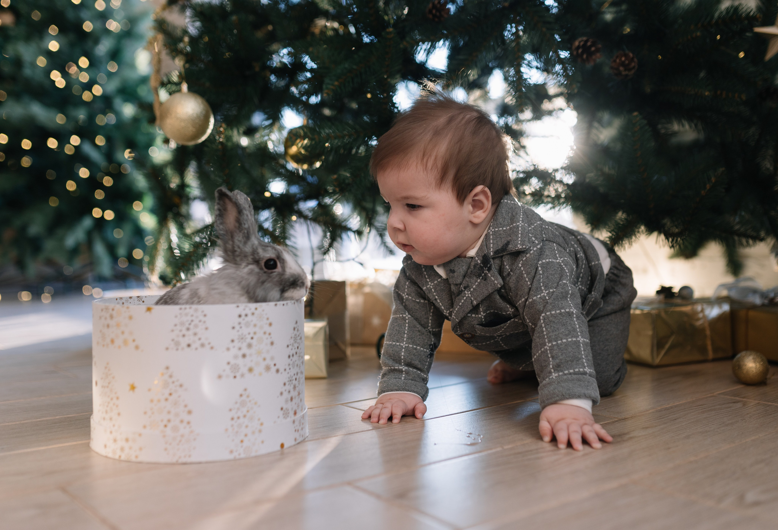 Кристина Киссер |Фотограф | сняла ⩾ 2000 съёмок | главная по атмосфере