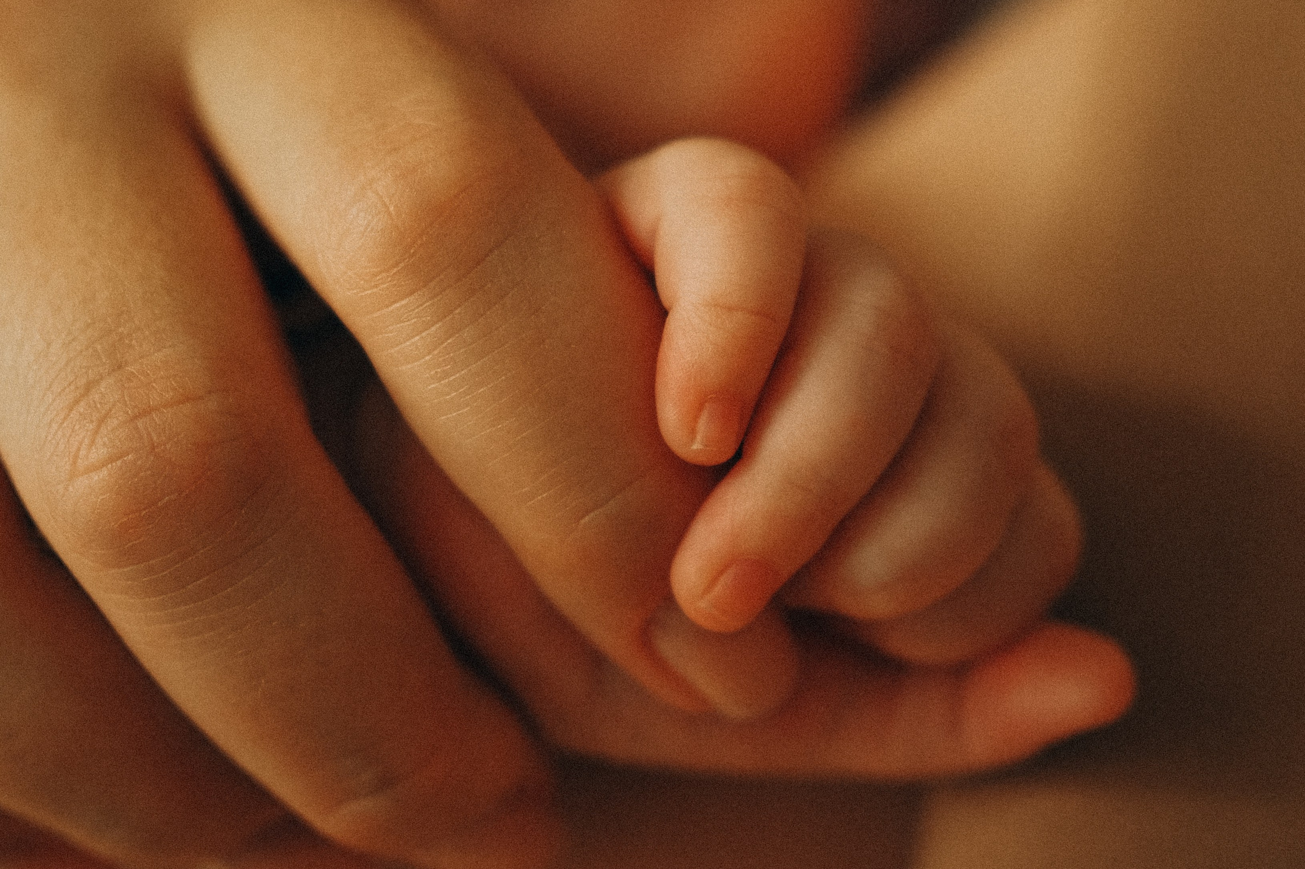 Я Аня, Фотограф, Москва