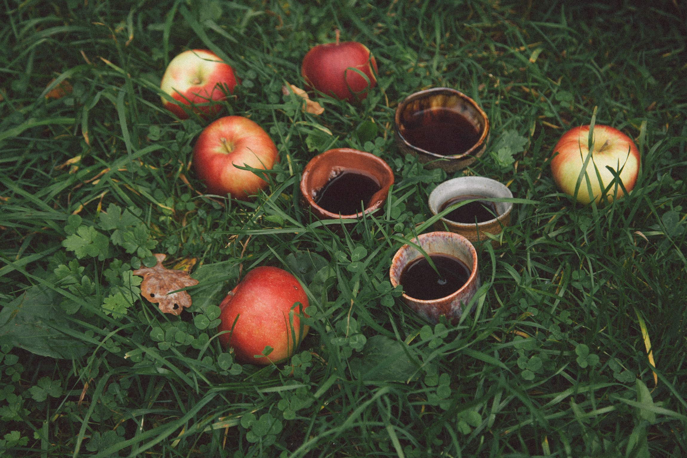 Portraits. Елена Цихон художник фотографии и мастер фото-ДНК
